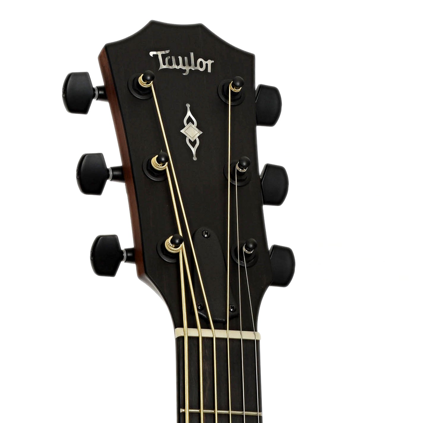 Headstock of Taylor 324ce Baritone-6 LTD Acoustic Guitar