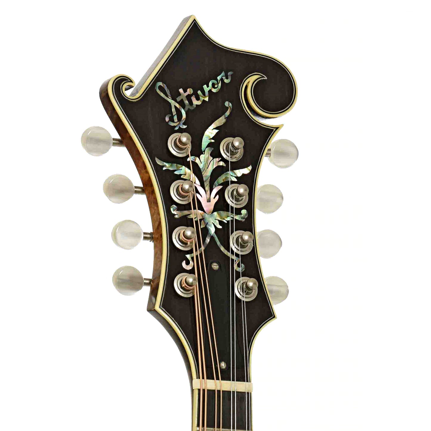 Headstock of Stiver Model F Mandolin 