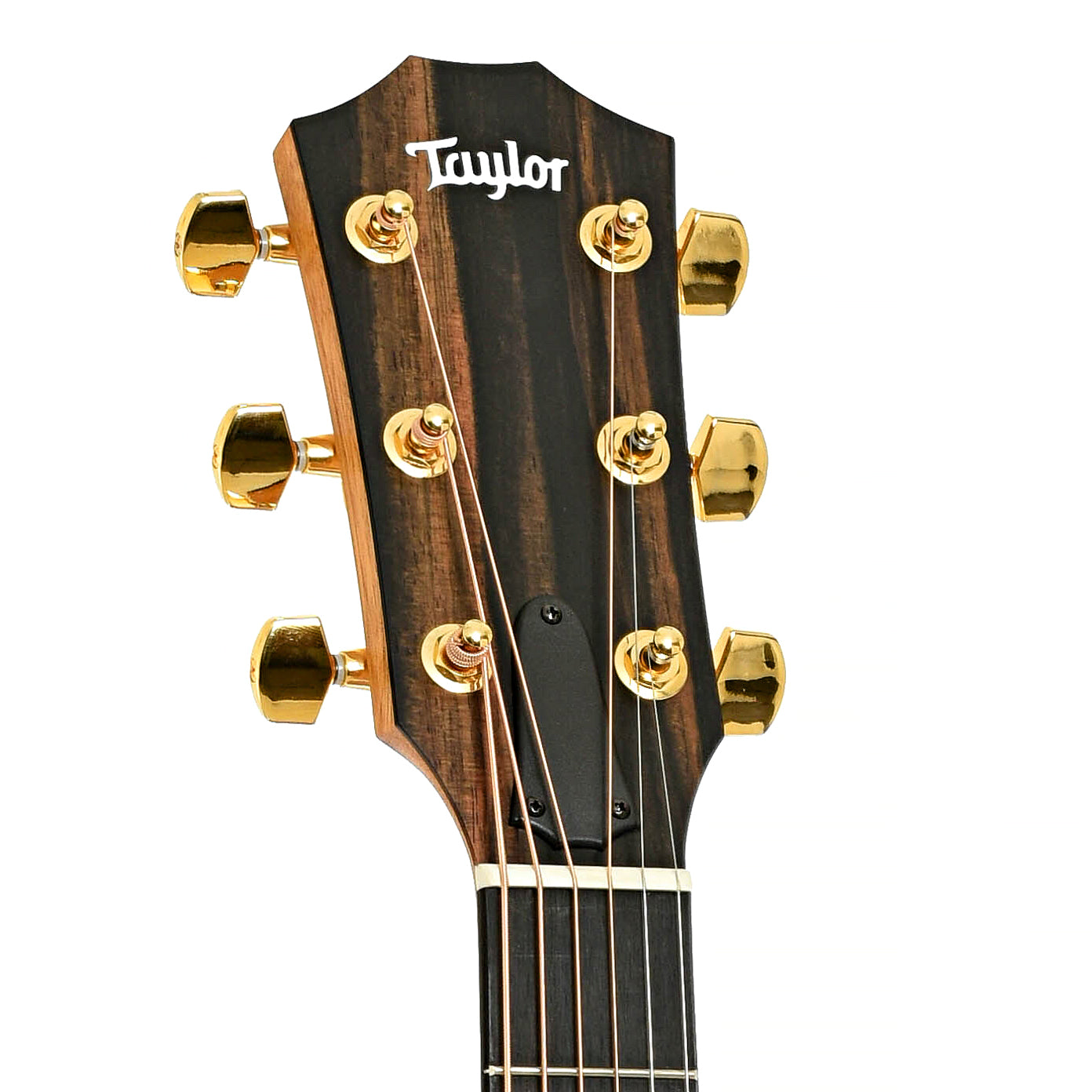 Headstock of Taylor 214ce Limited Edition Tigerwood Acoustic Guitar