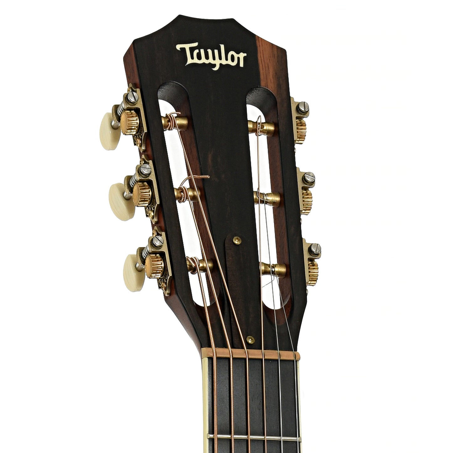 Headstock of Taylor 522e 12-Fret Acoustic-Electric Guitar
