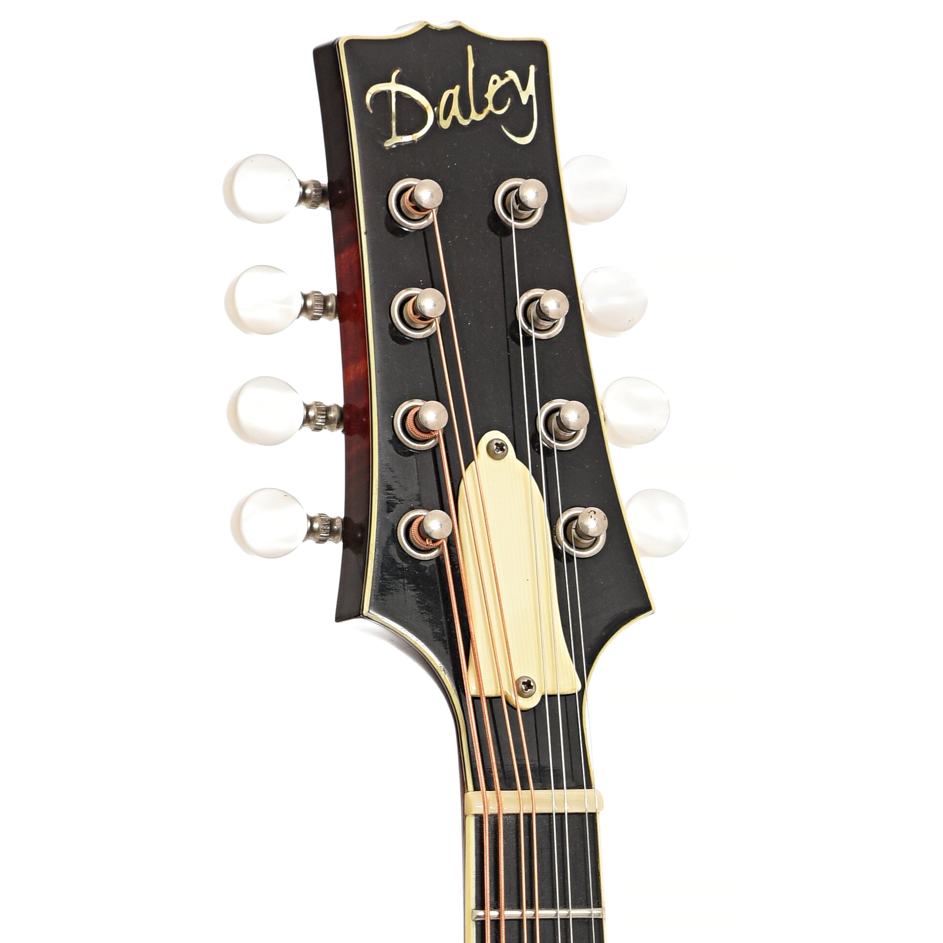 Front headstock of Daley Classic A Mandolin
