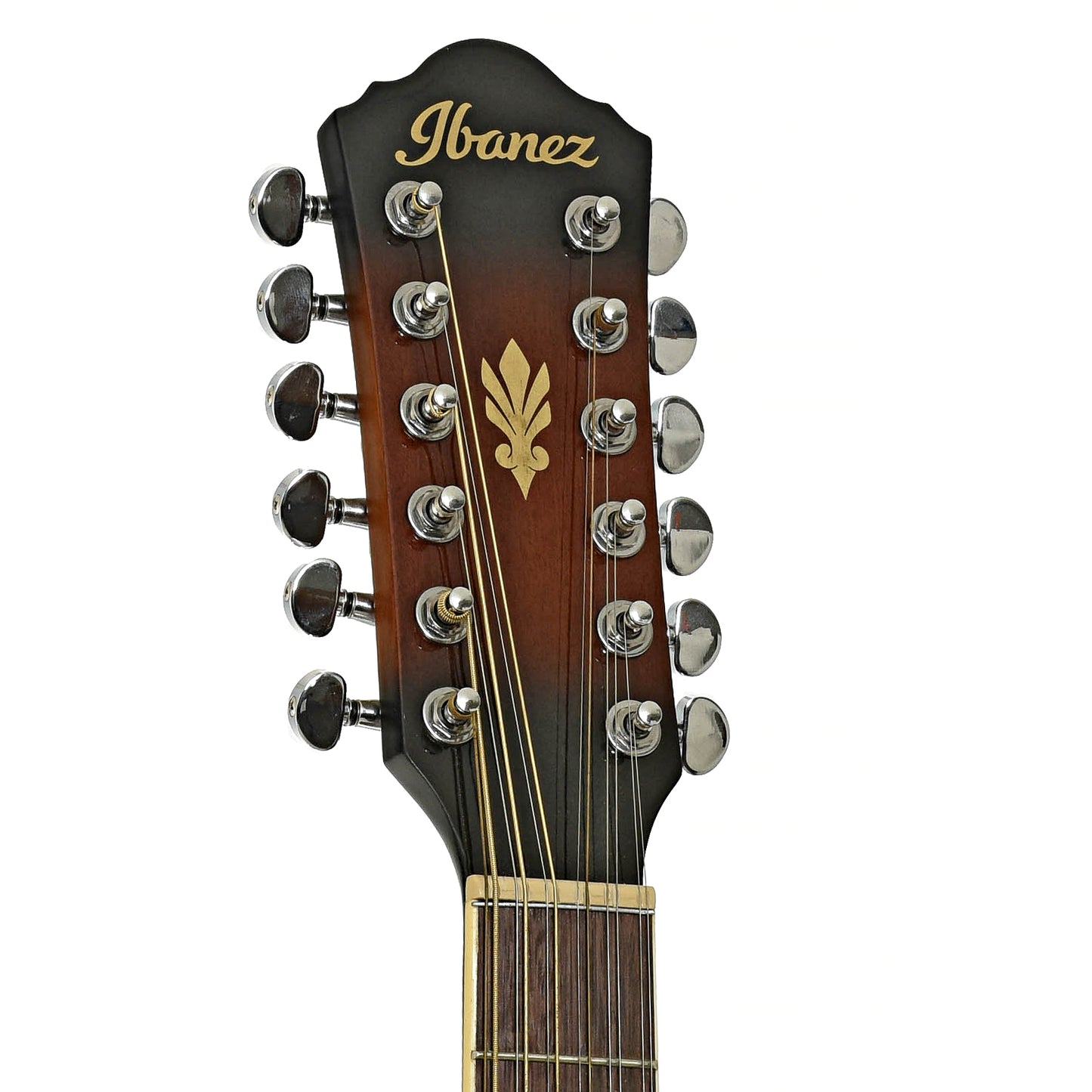 Headstock of Ibanez AEG1812 II 12-String Acoustic-Electric Guitar