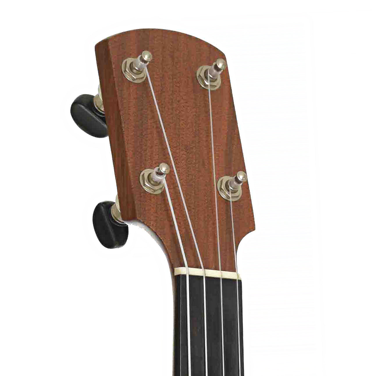 Front Headstock of Enoch Tradesman Fretless