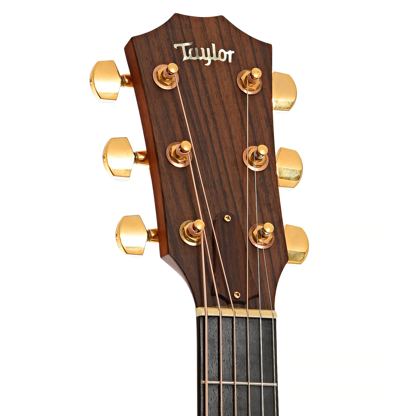 Front headstock of Taylor 710 Acoustic Guitar 