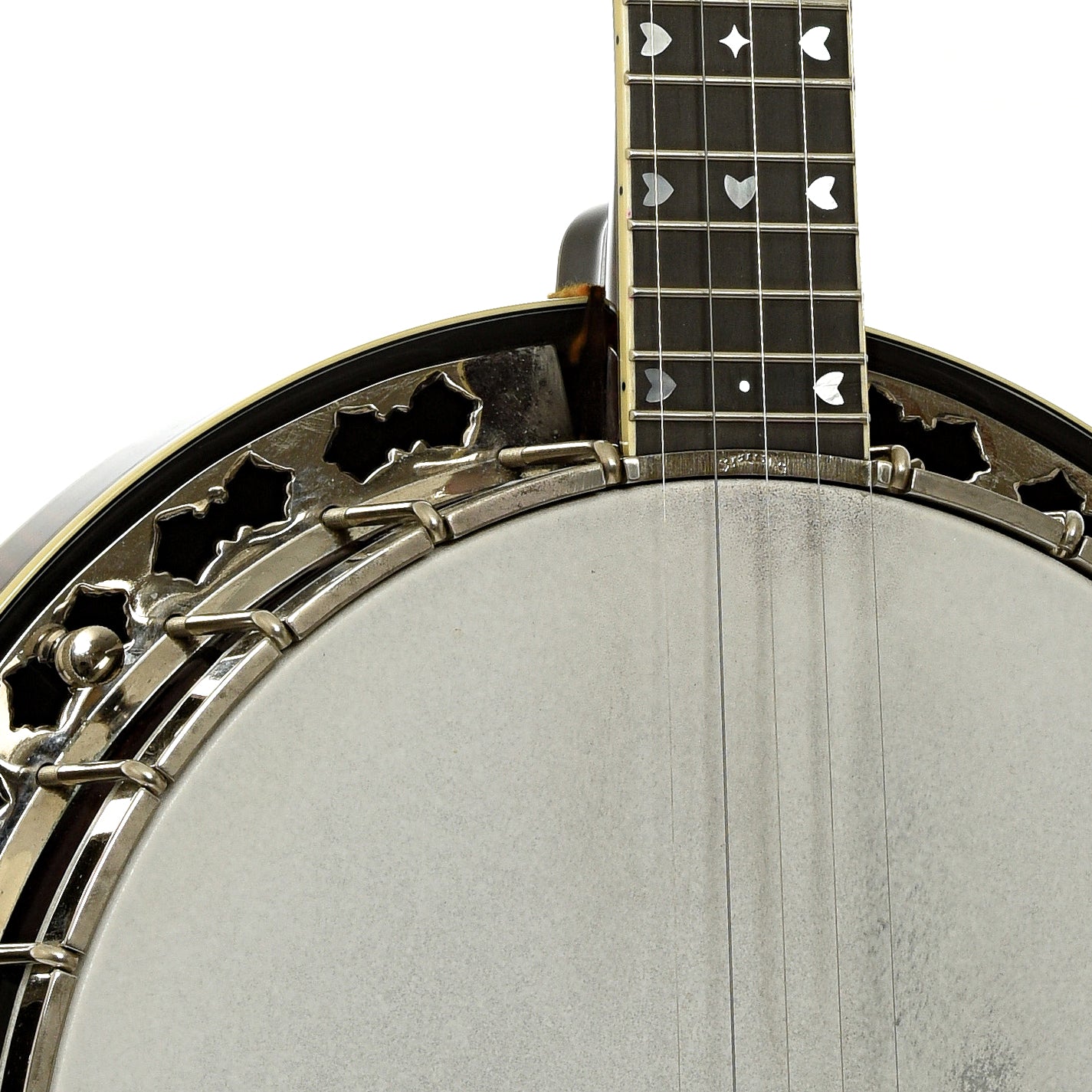 Stelling Sunflower Resonator Banjo (2012)