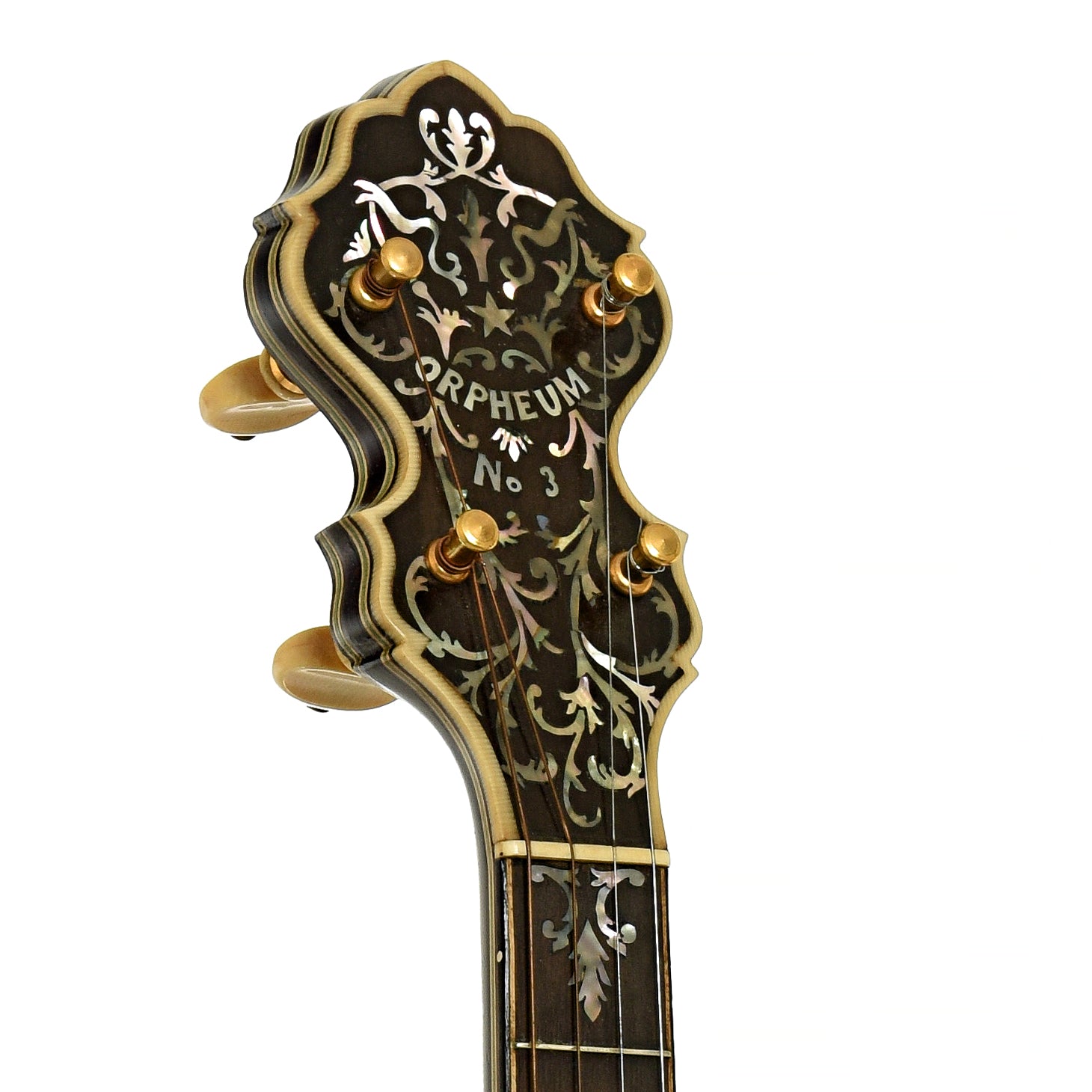 Headstock of Orpheum No.3 Tenor Banjo 