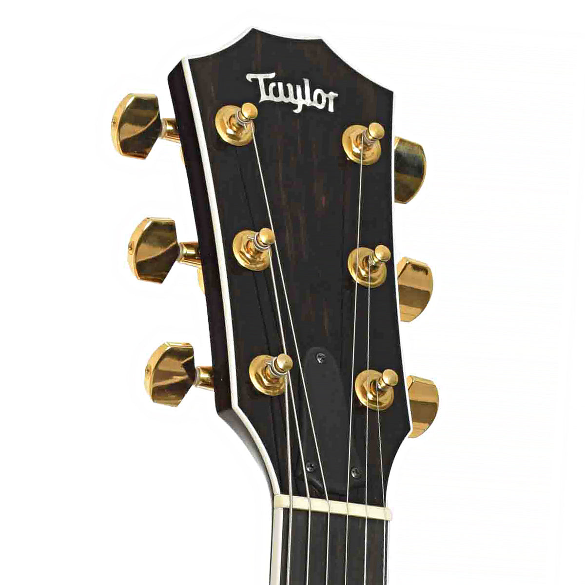 Front headstock of Taylor T5C2 Koa Custom