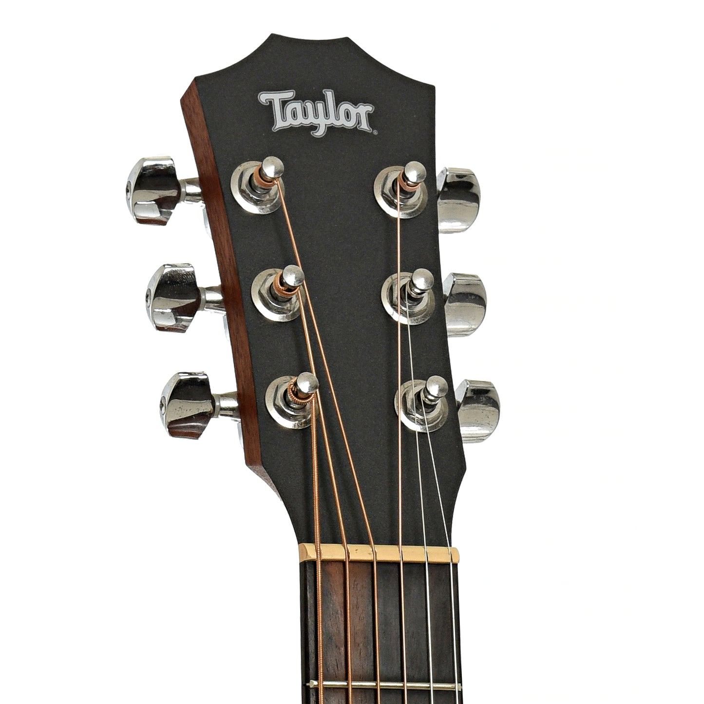 Headstock of Taylor Baby 305 Acoustic Guitar