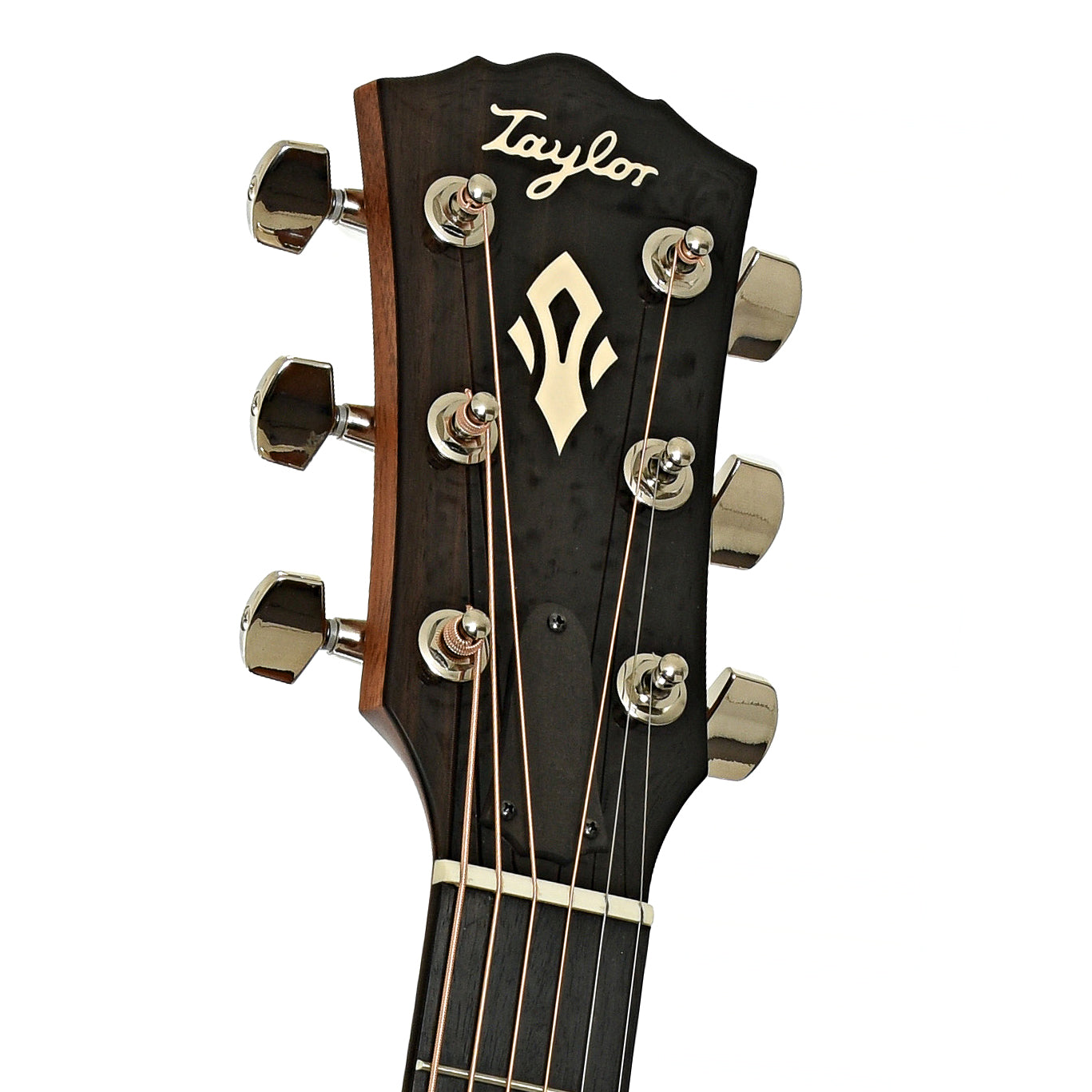 Headstock of Taylor Gold Label 717e SB Acoustic-Electric Guitar