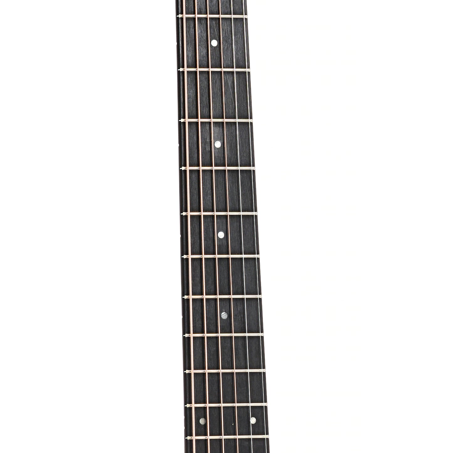 Fretboard of Taylor 214ce Acoustic Guitar