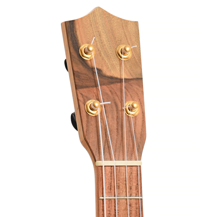 Front headstock of Aaron Keim Beansprout Mini 5-String Openback Banjo