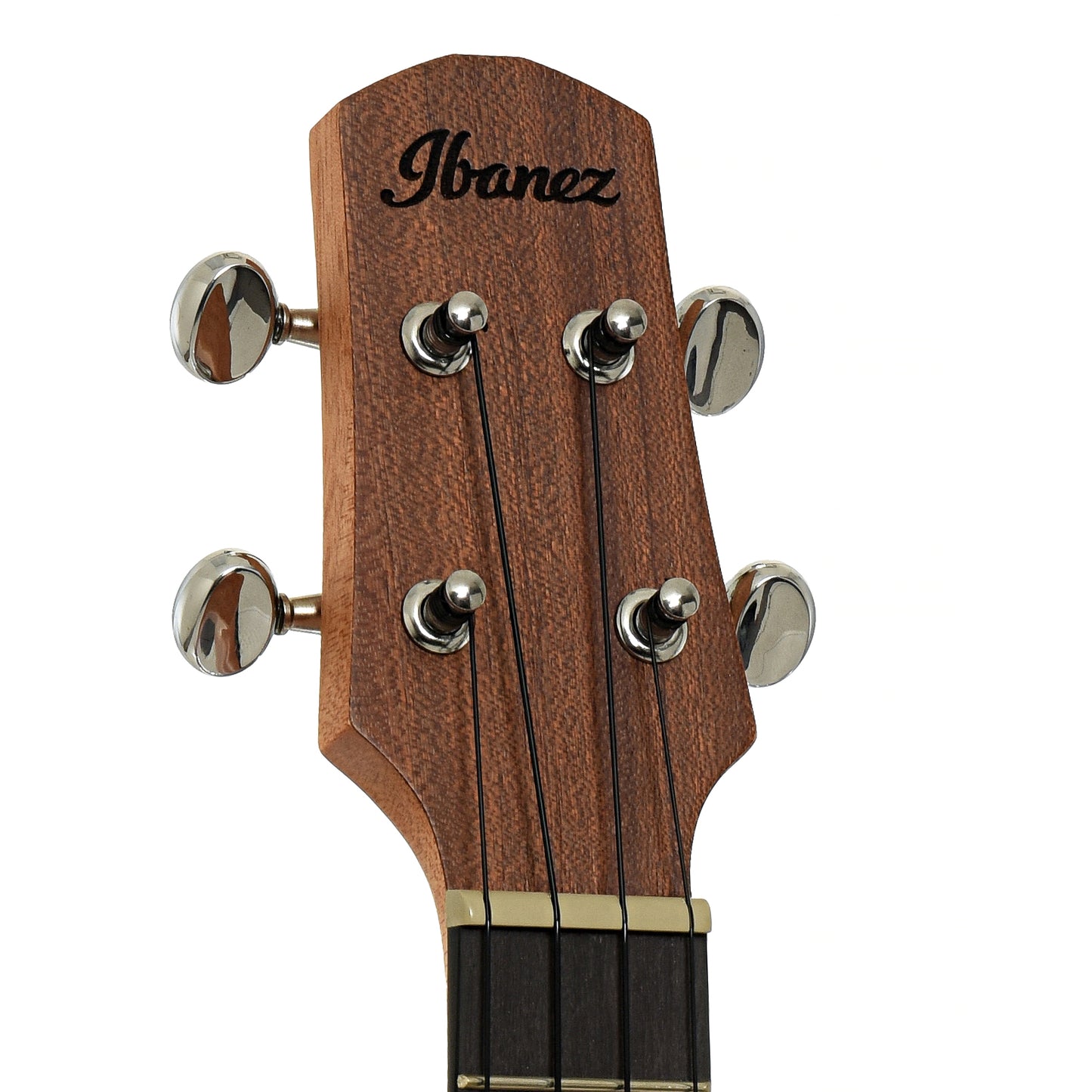 Headstock of Ibanez Concert Ukulele with Bag, Open Pore Natural