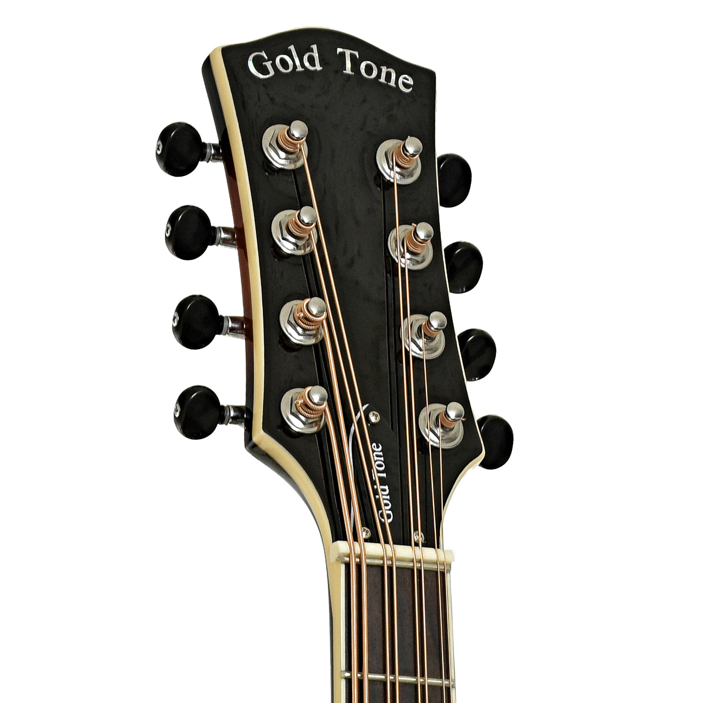 Headstock of Gold Tone Acoustic-Electric Mandocello