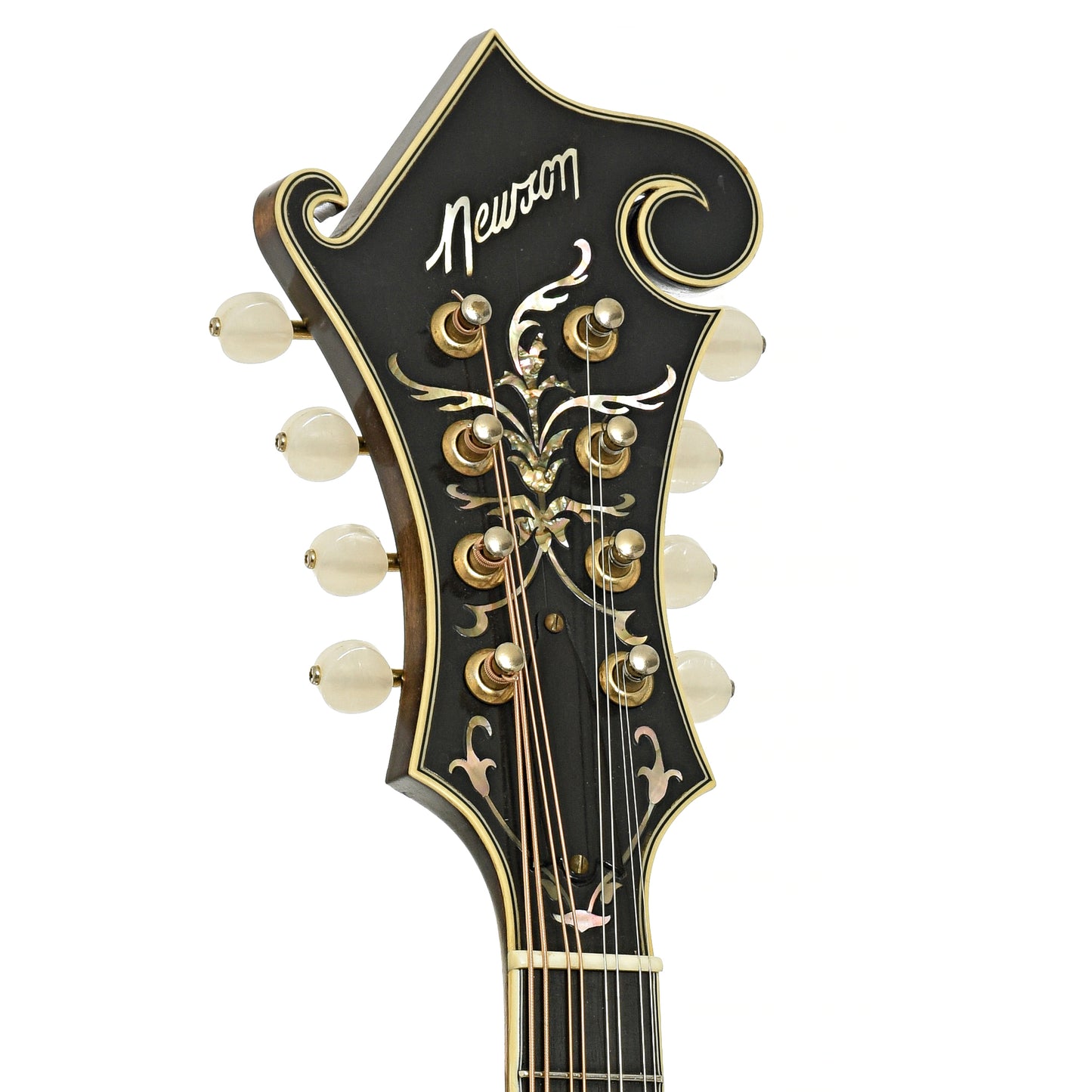 Headstock of Newson F-5 Fern Mandolin 