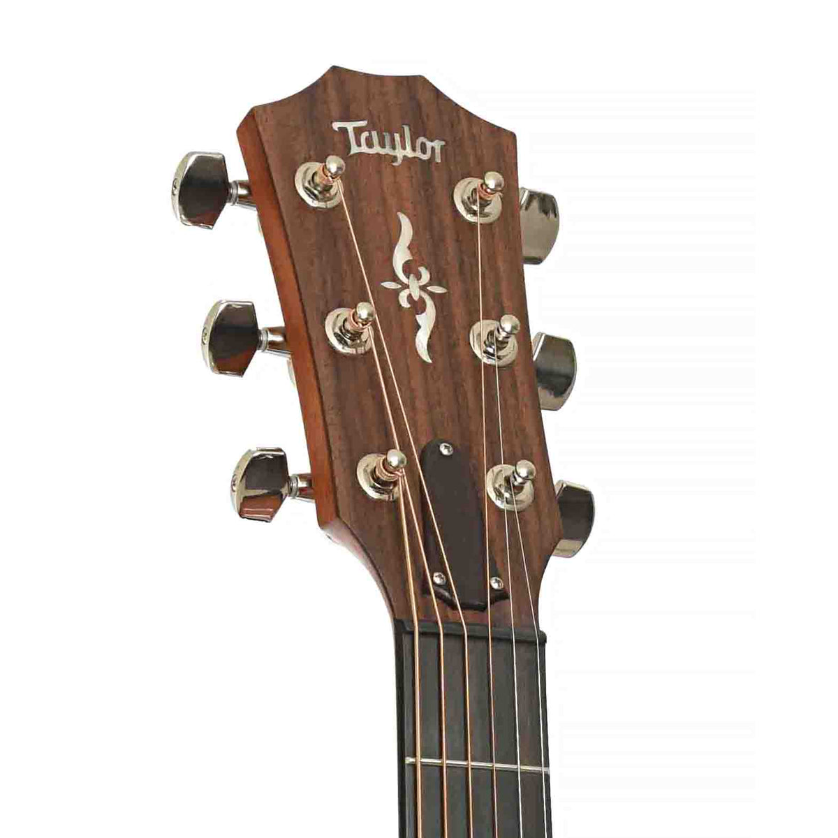 Front Headstock of Taylor 414ce-R VClass Acoustic-Electric Guitar