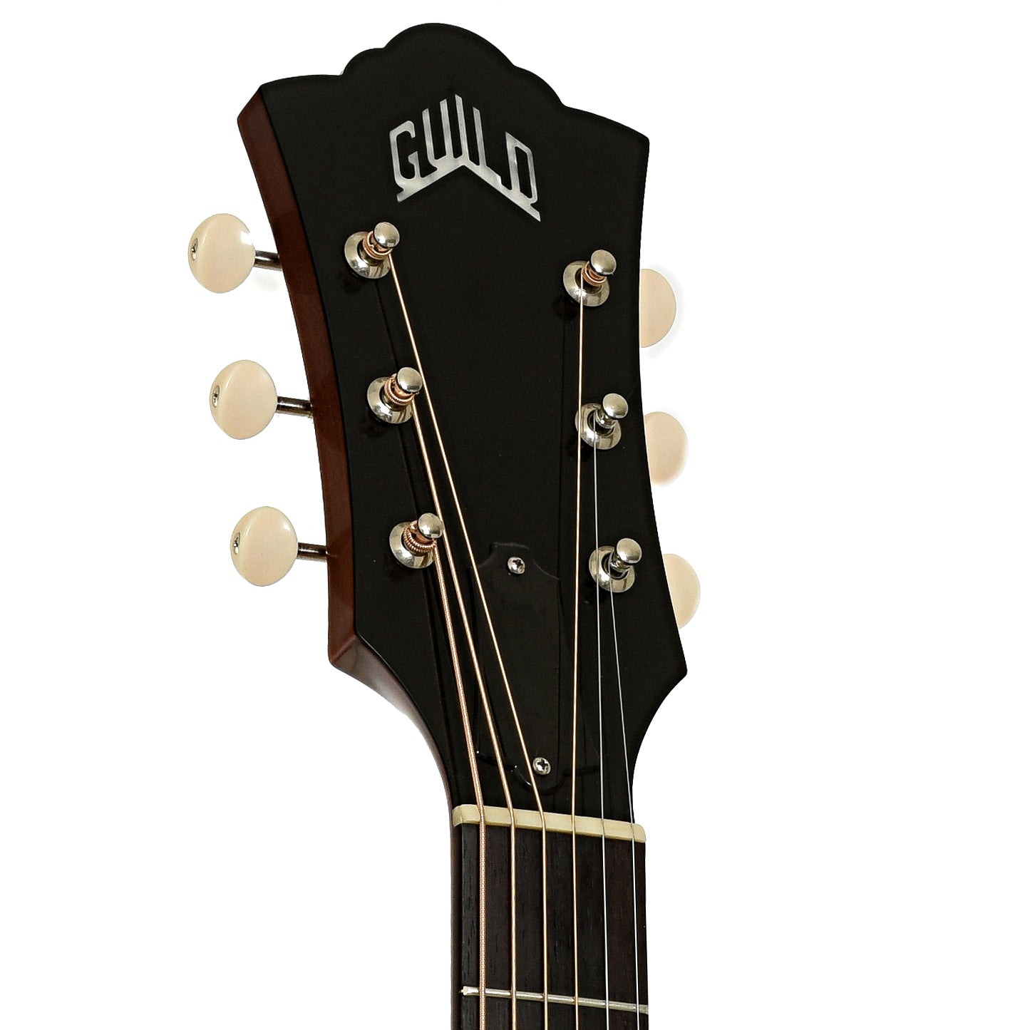 Headstock of Guild F40 Traditional Jumbo Acoustic Guitar