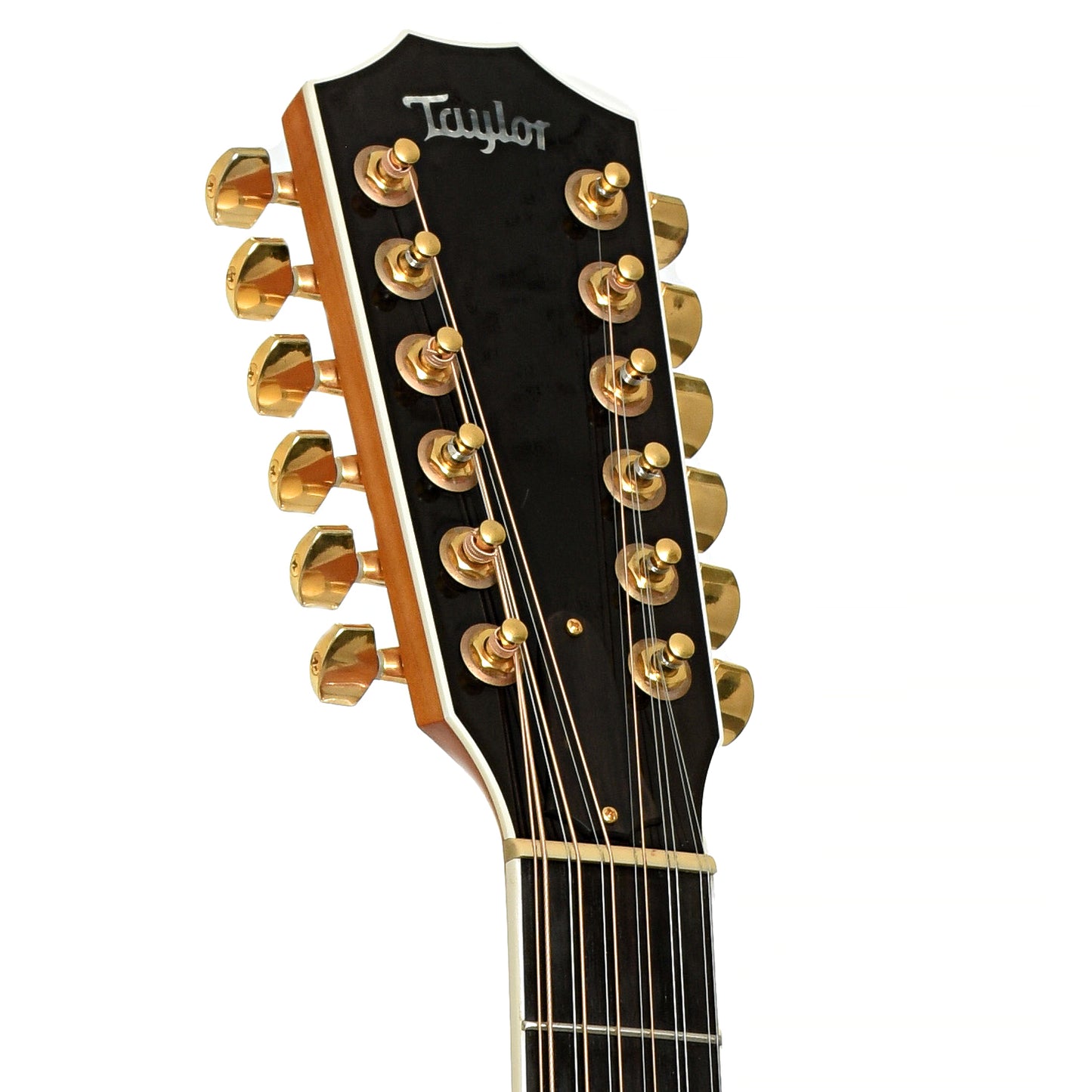 Headstock of Taylor 655-CE 12-String Acoustic-Electric Guitar