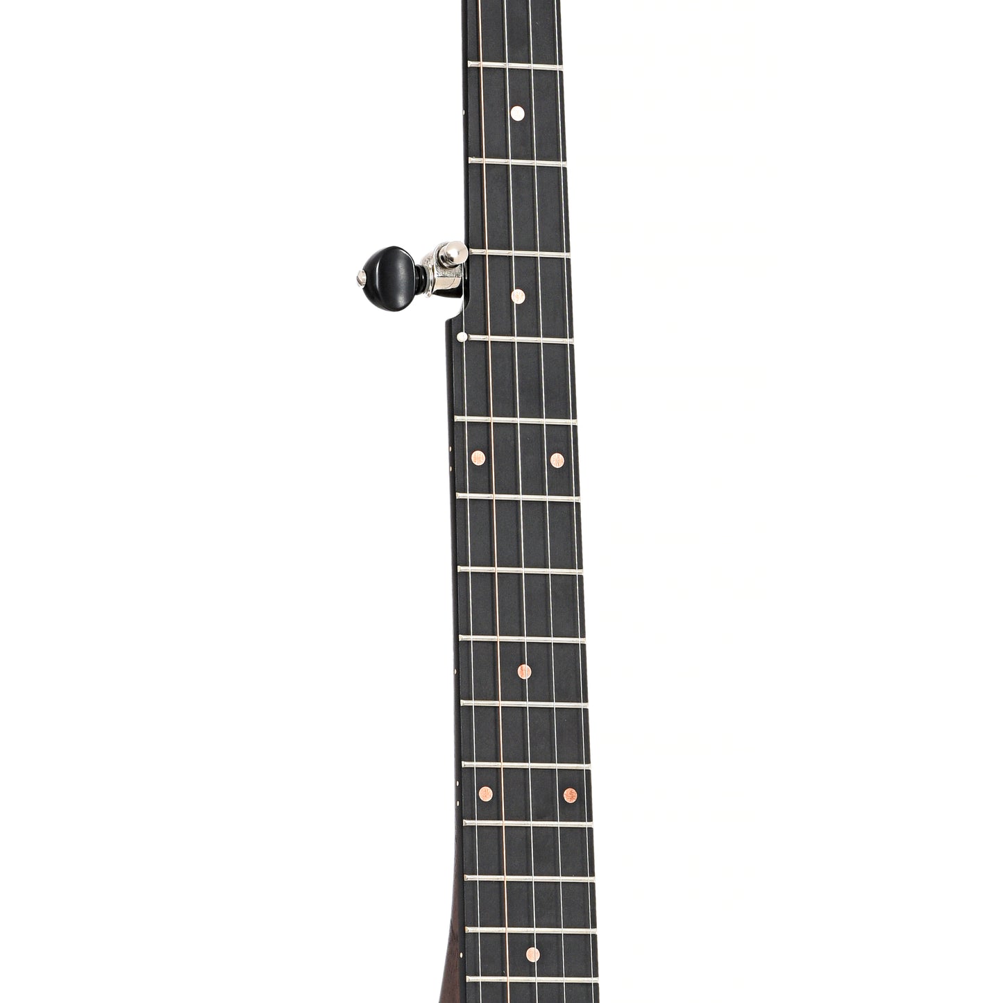 Fretboard of Pisgah Banjo Co. 12" Woodchuck Openback Banjo