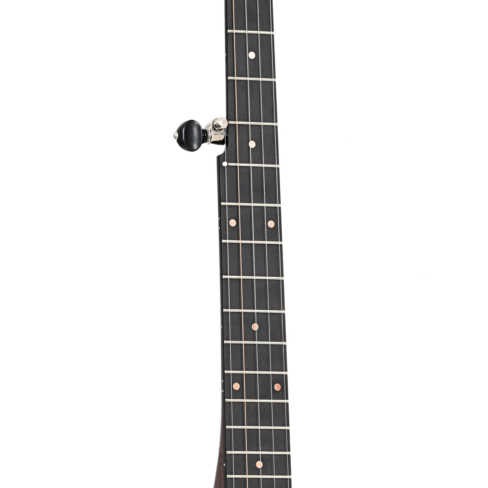 Fretboard of Pisgah Banjo Co. 12" Woodchuck Openback Banjo