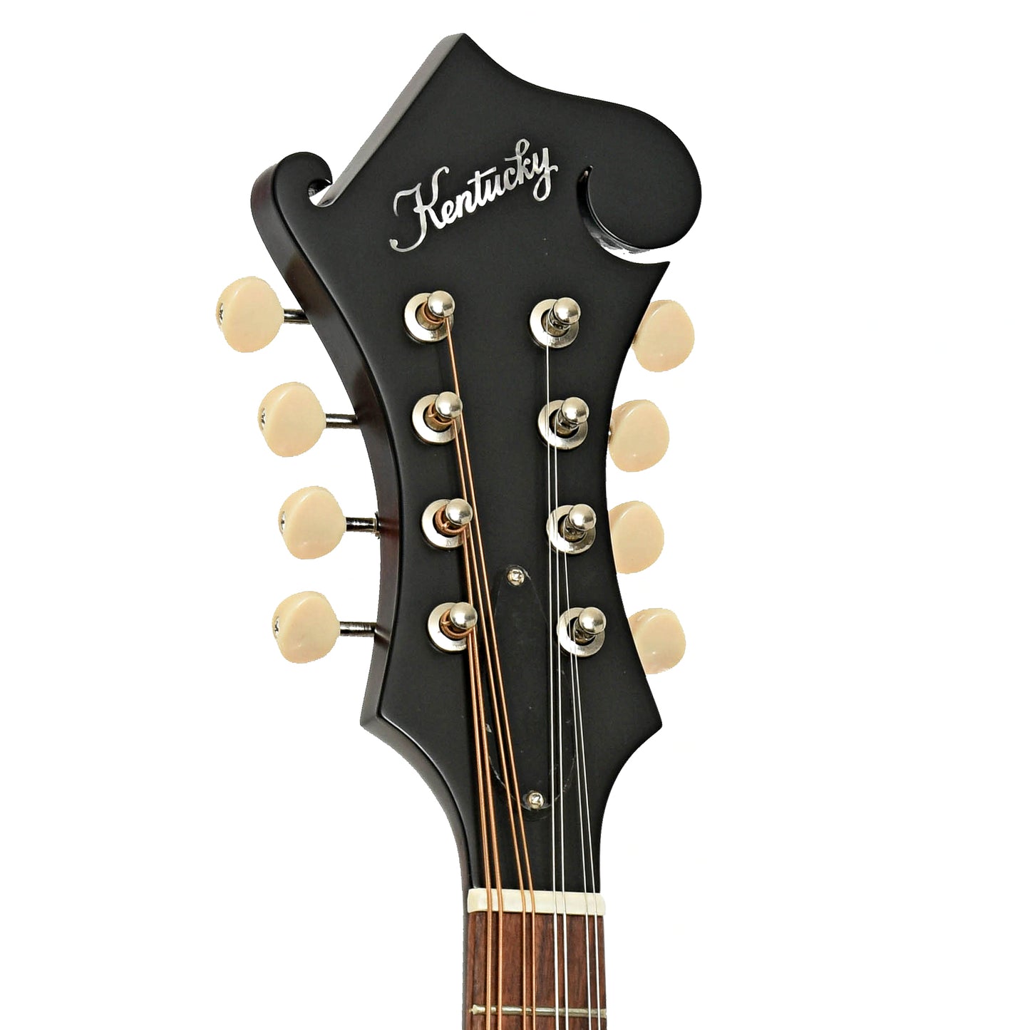 Headstock of Kentucky KM-626 Oval Hole F-Model Mandolin
