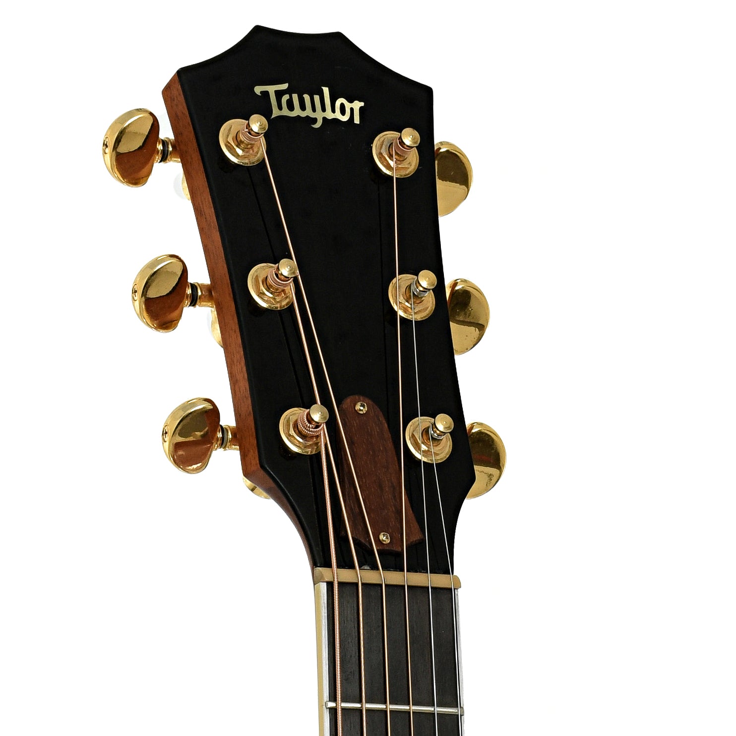 Headstock of Taylor 612-C Acoustic Guitar