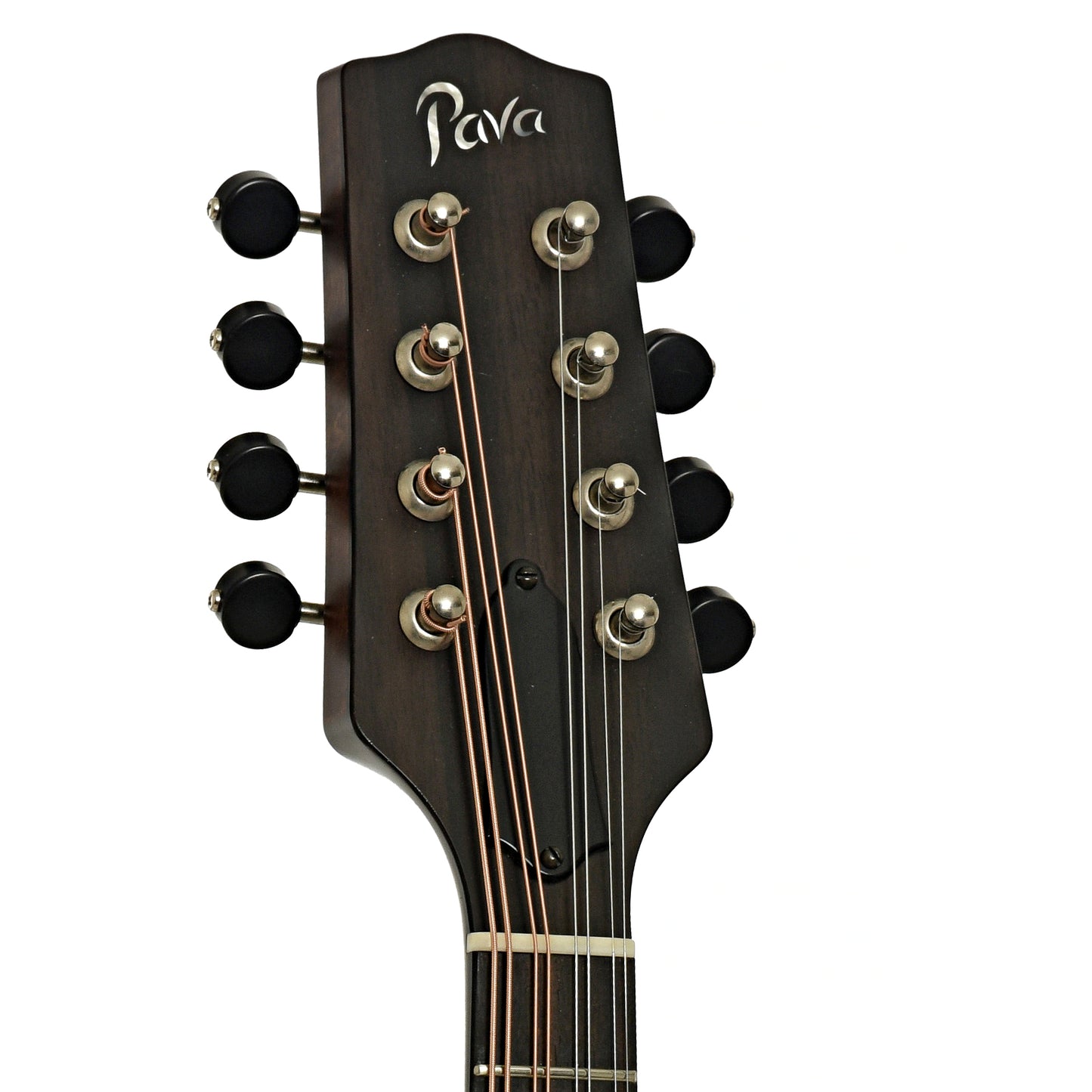 Headstock of Pava A5 Satin Oval Hole Mandolin
