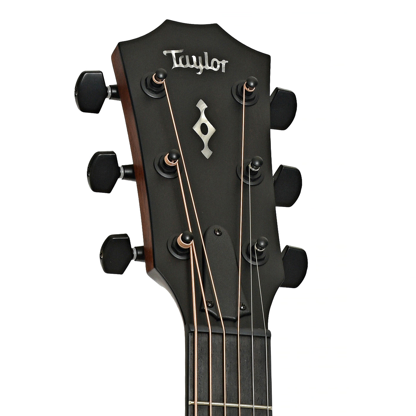 Headstock of Taylor Next Generation 324ce Acoustic Guitar