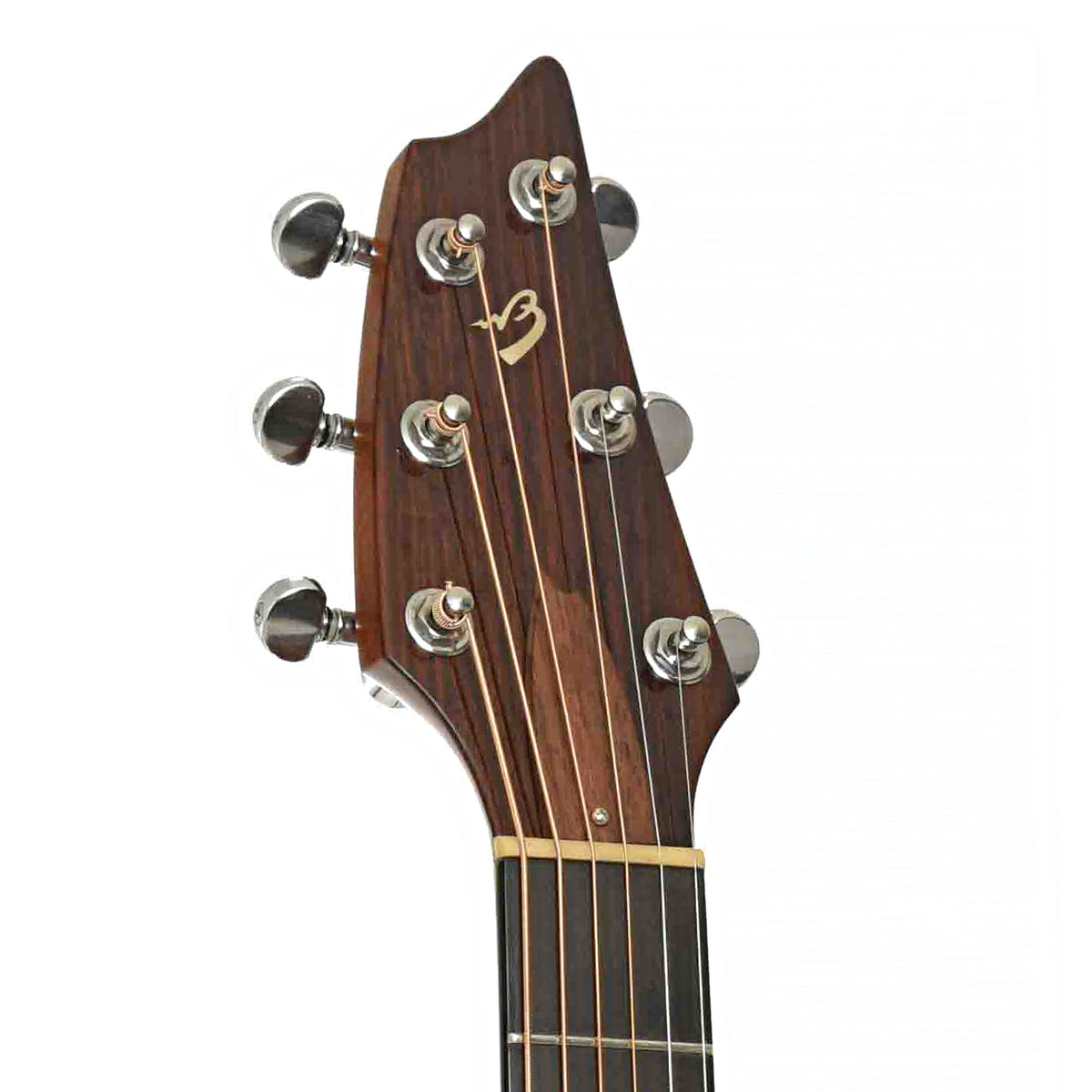Front Headstock of Breedlove SC20/W Acoustic Guitar