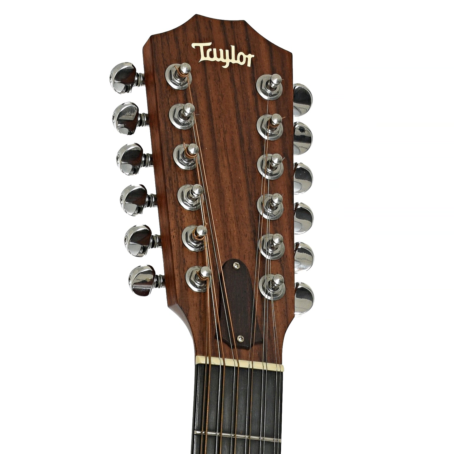 Headstock of Taylor 355 12-String Acoustic Guitar