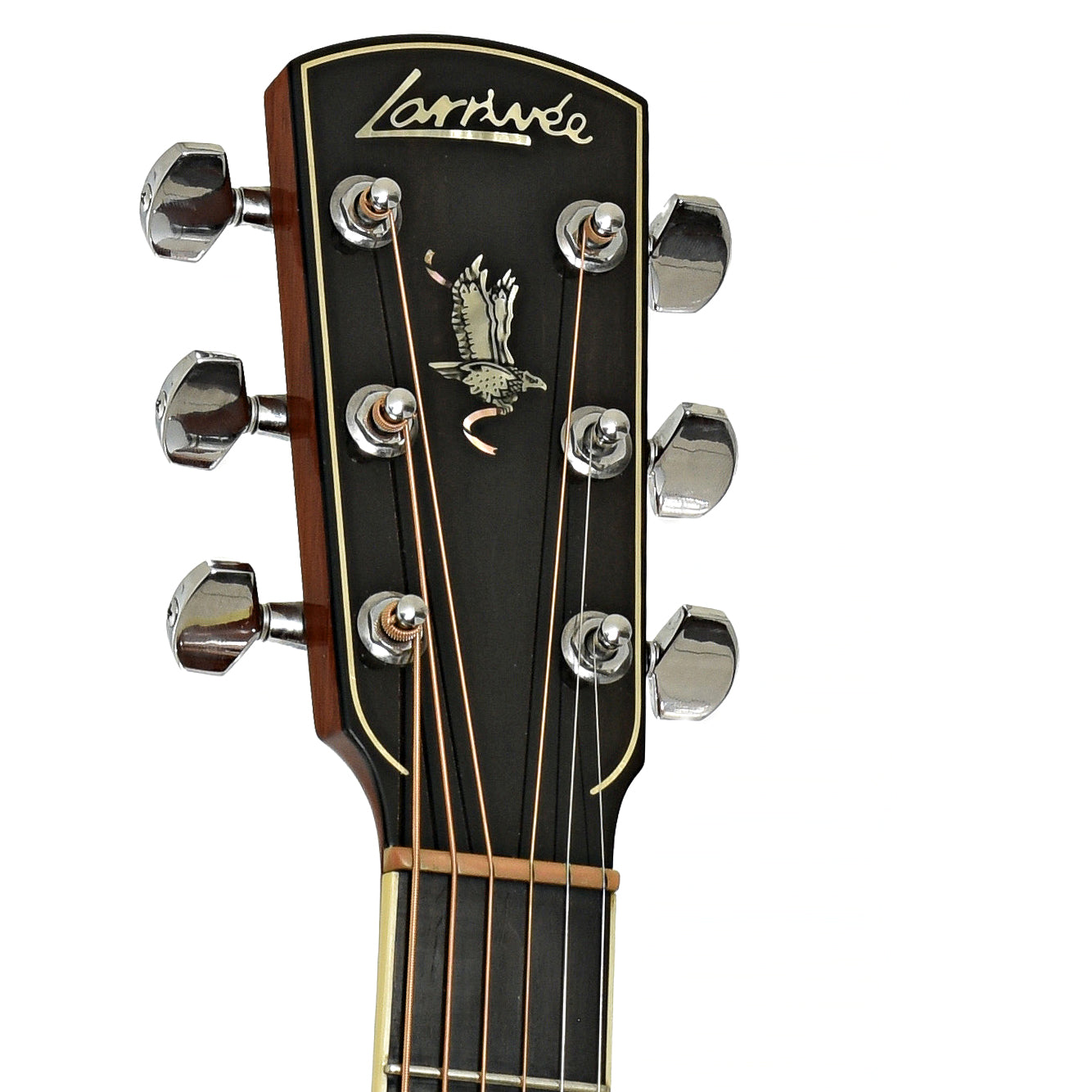 Headstock of Larrivee D-09 Brazilian Acoustic Guitar