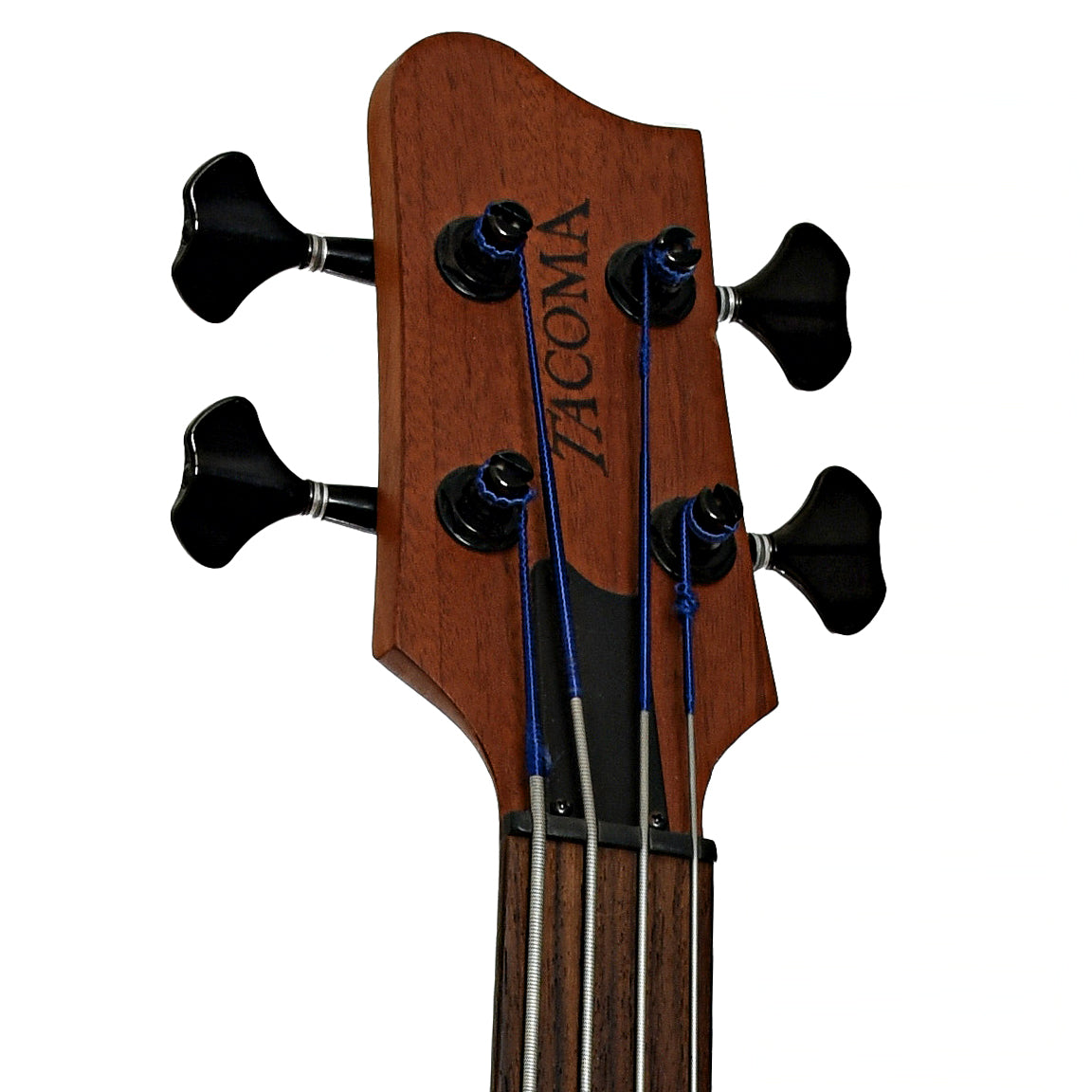 Headstock of Tacoma CB10C Thunderchief Fretless Acoustic-Electric Bass