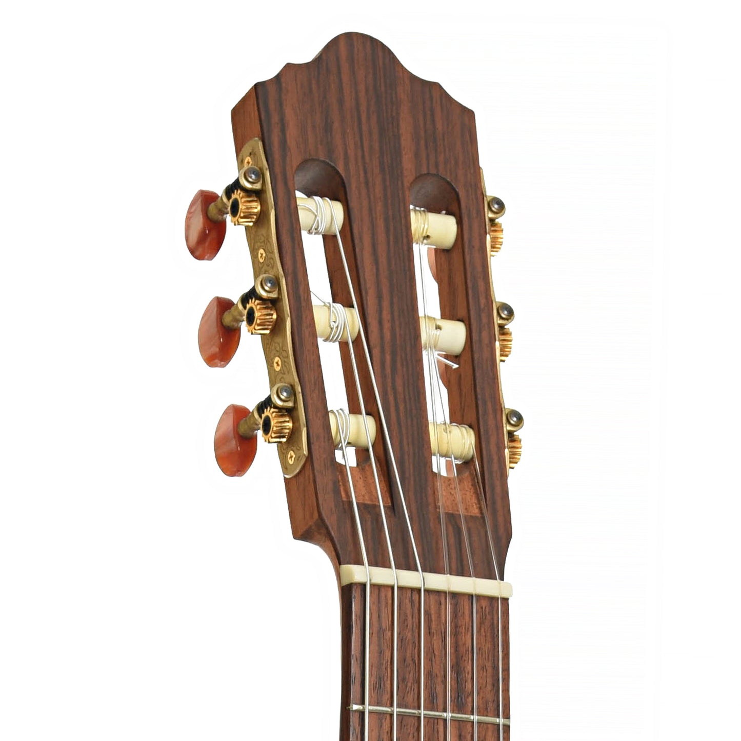Headstokc of Martin-Humphrey C-1R Classical Acoustic Guitar 