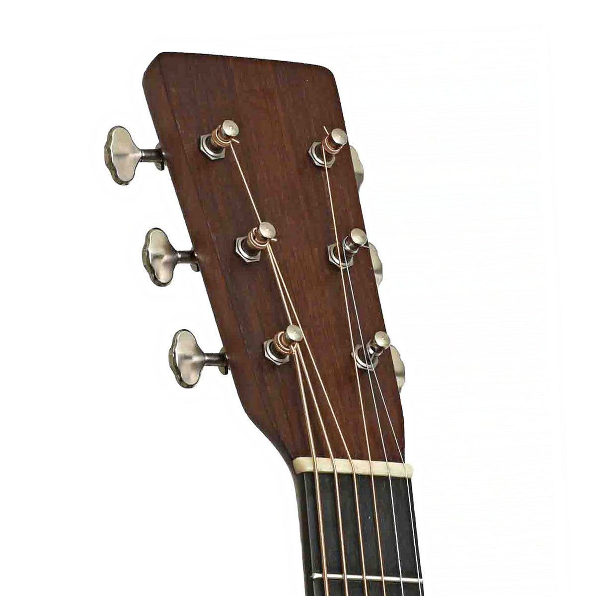 Front Headstock of Martin D-18 Acoustic Guitar