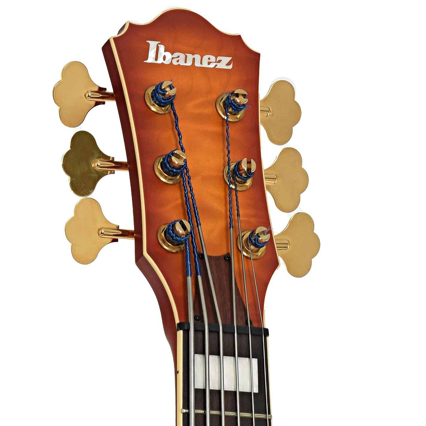 Headstock of Ibanez TCB1006 Stephen "Thundercat" Bruner 6-String Hollowbody Electric Bass (2022)