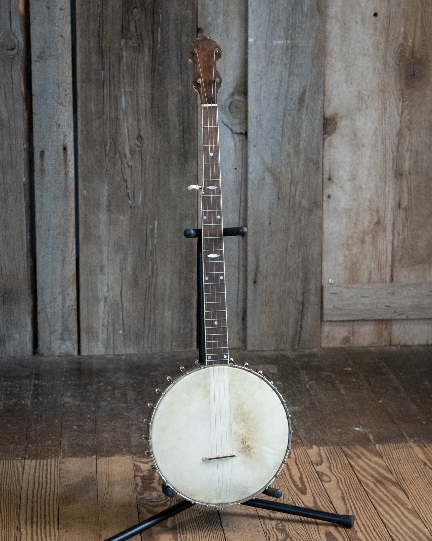 Showroom photo of Vega Senator Openback Banjo  (1925)