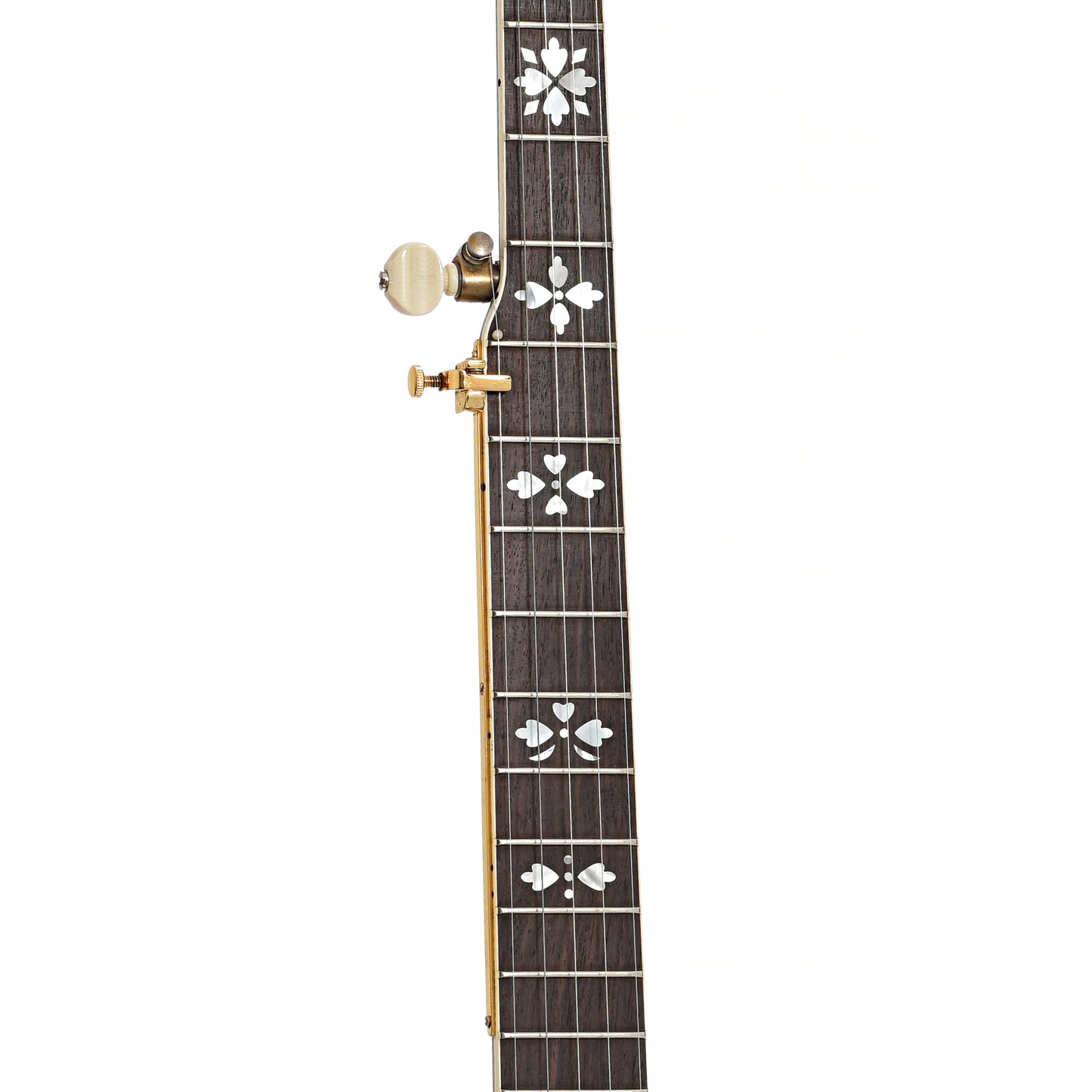 Fretboard of Gibson Granada (2005)