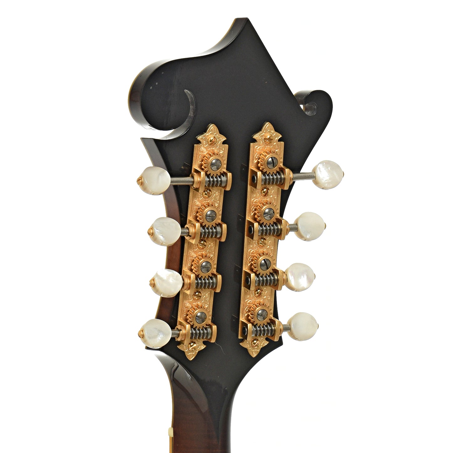 Tuners of Collings MF-5 Varnish Mandolin 