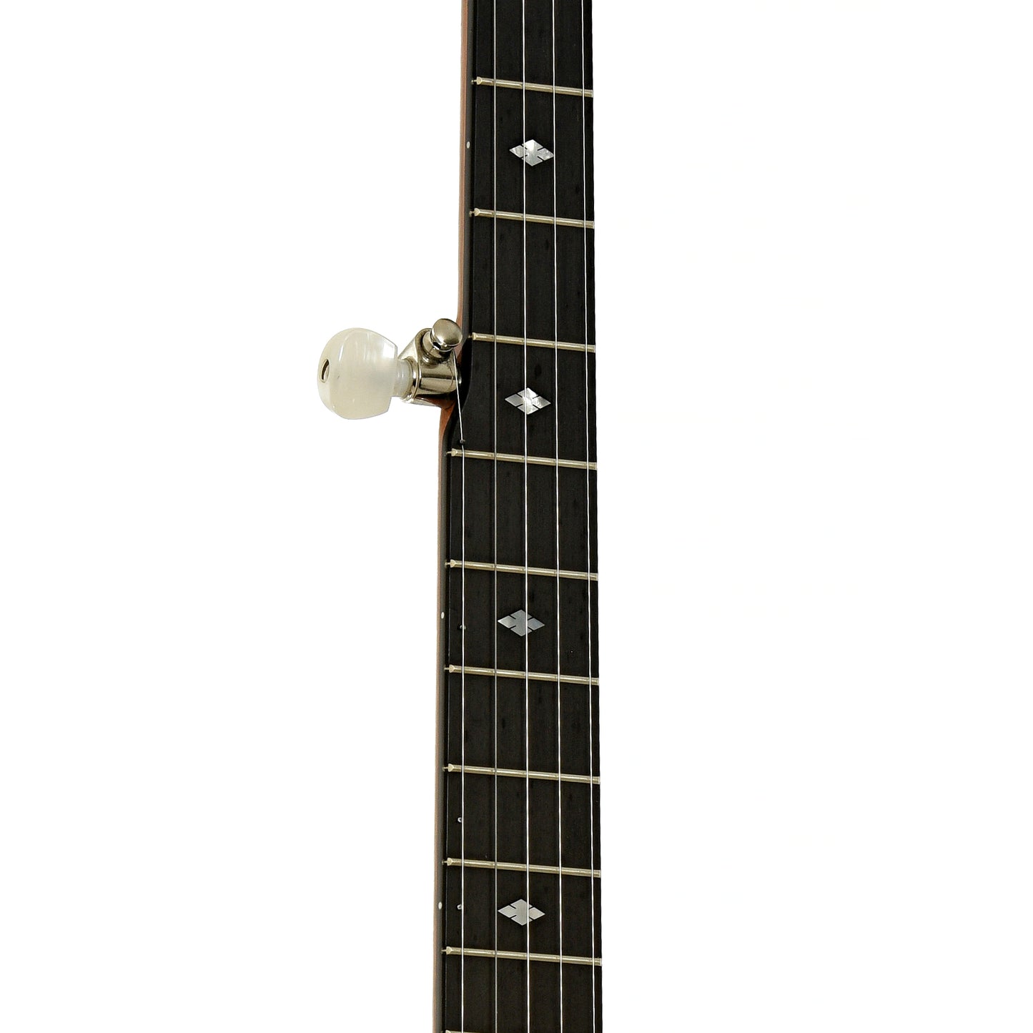Fretboard of Deering Deluxe Resonator Banjo