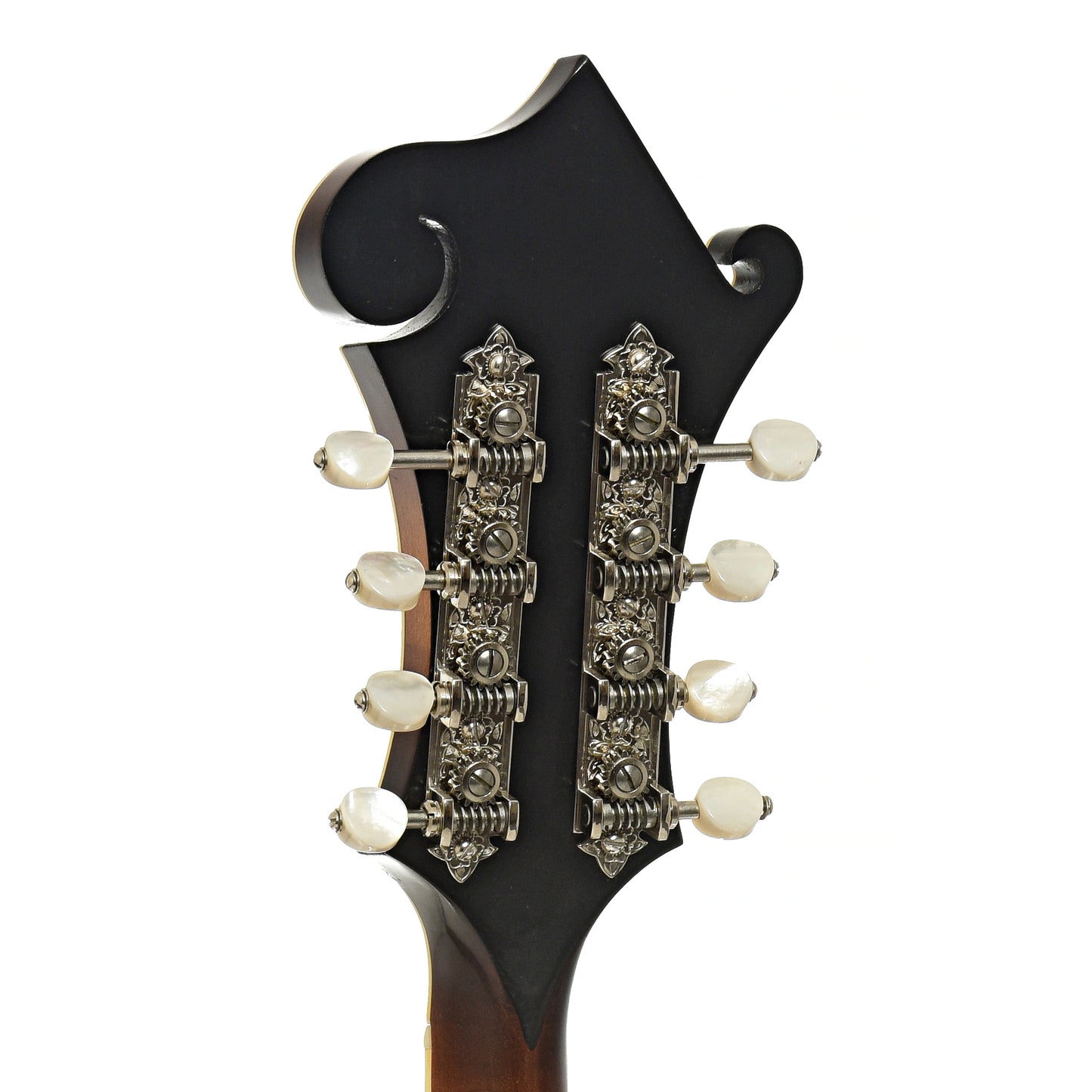 Tuners of Dudenbostel F-5 Mandolin