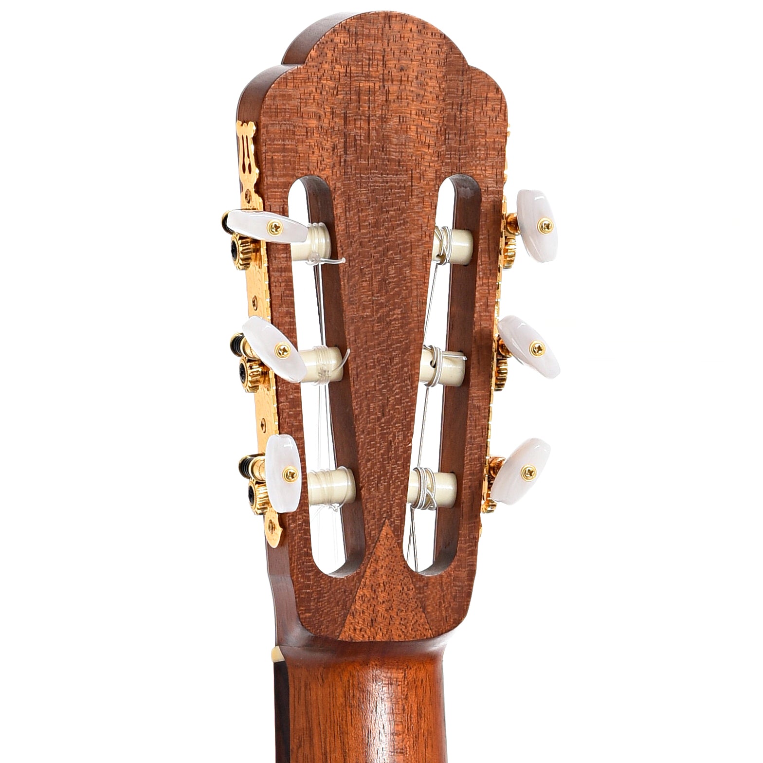 Back headstock of Benfield Tiny Rose Classical Guitar (c.2005)