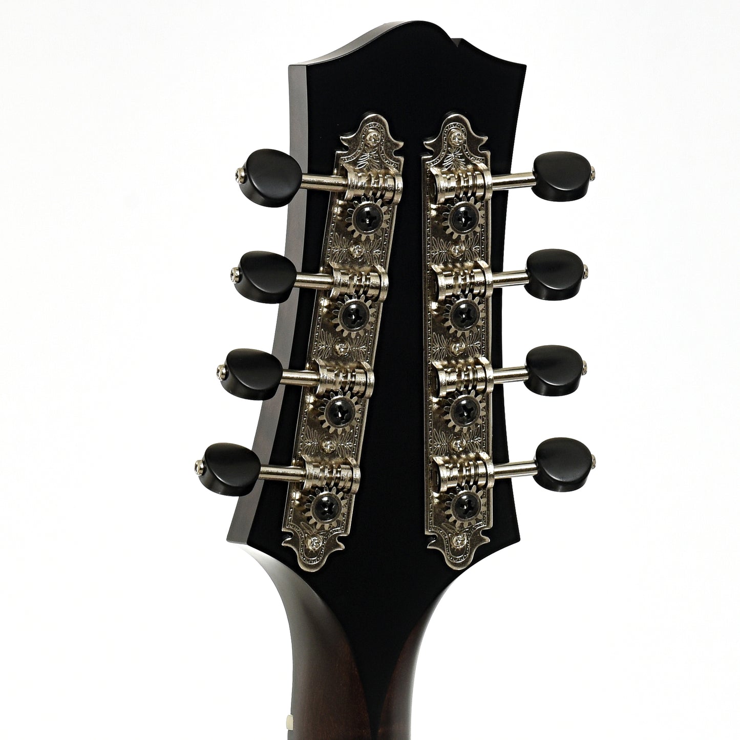 Tuners pf Collings MT O Oval Hole A-Style Mandolin