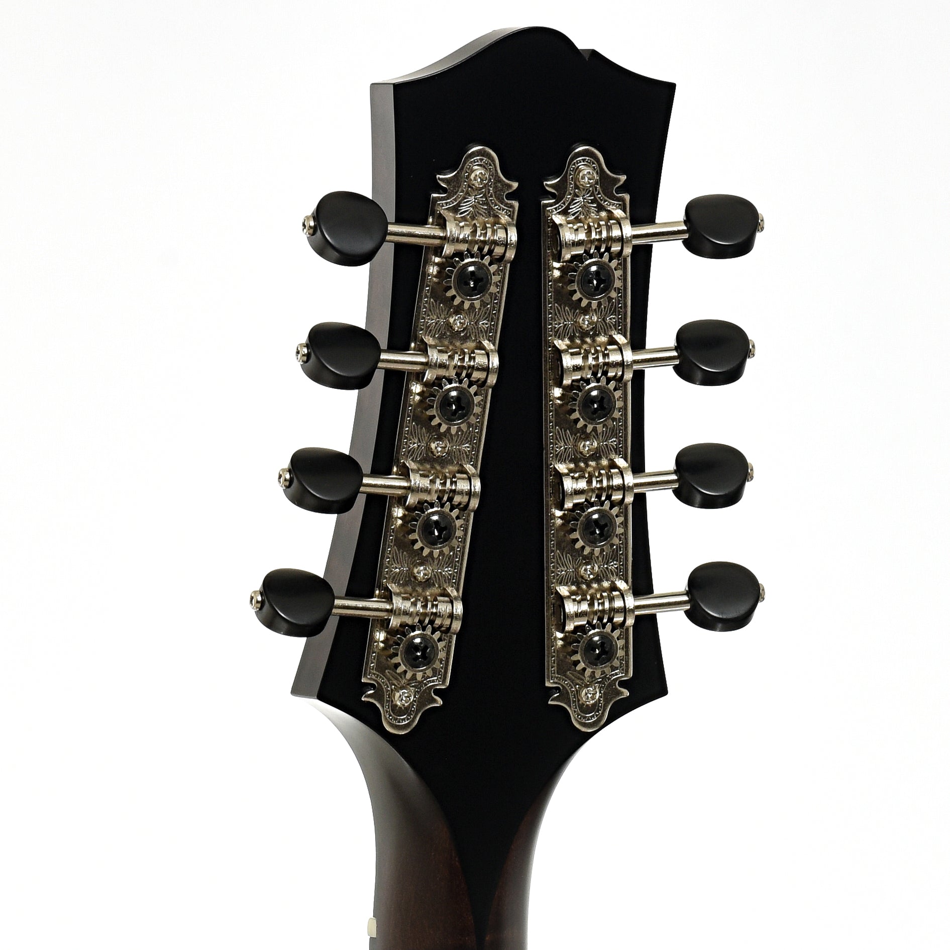 Tuners pf Collings MT O Oval Hole A-Style Mandolin