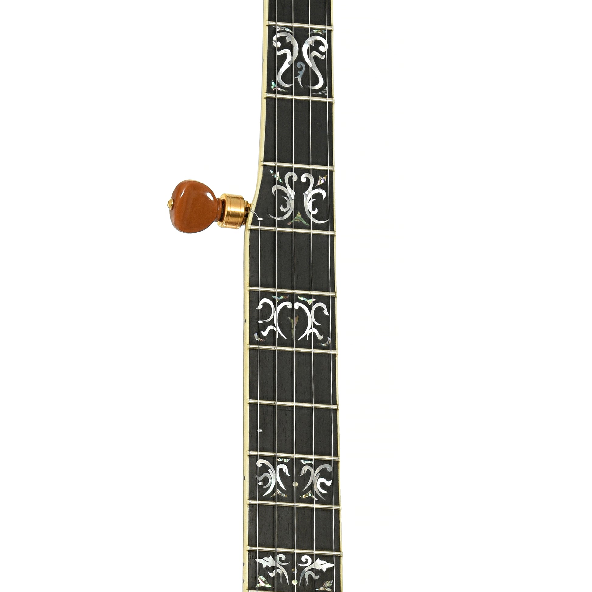 Fretboard of Grundy Flintriver "Blue Heeler" Resonator Banjo 