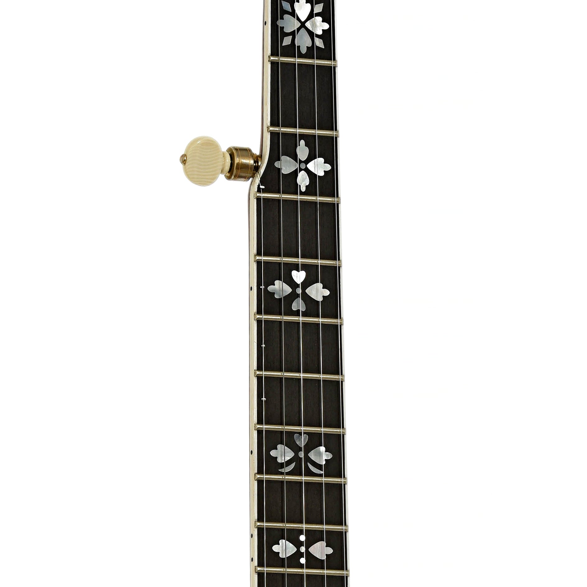 Fretboard of Gibson TB-100 Conversion Resonator Banjo
