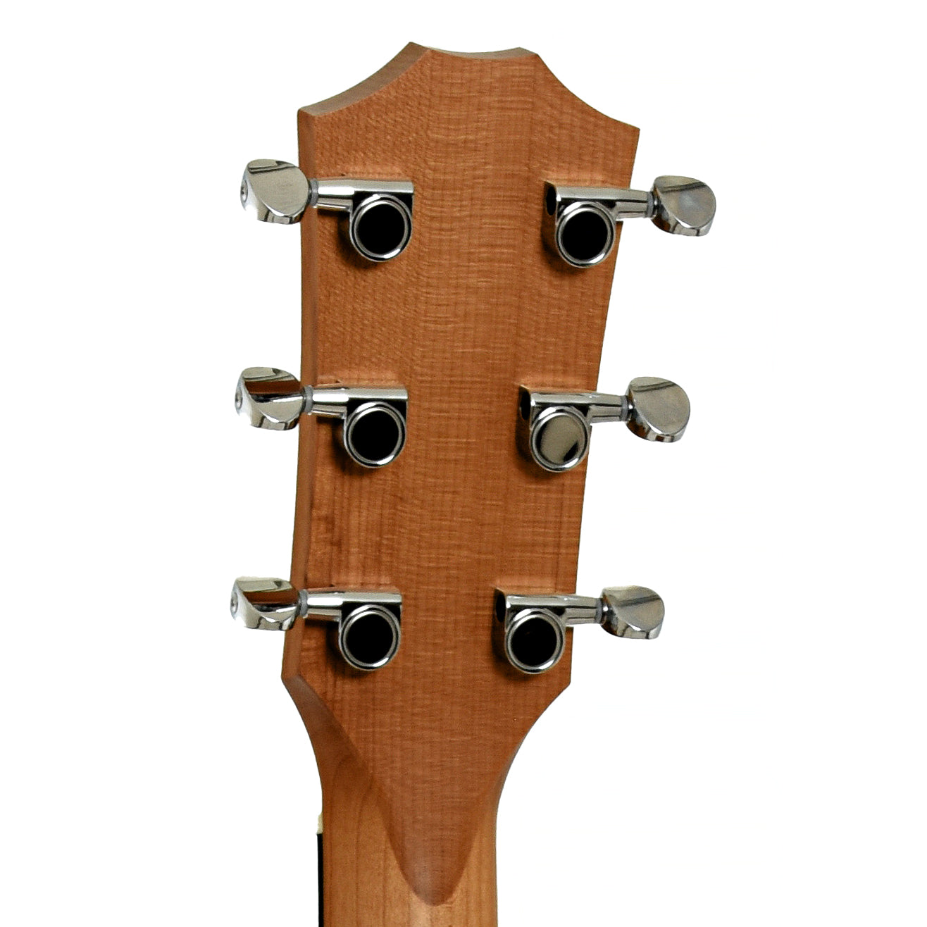 Headstock of Taylor 14ce Acoustic Guitar & Gigbag