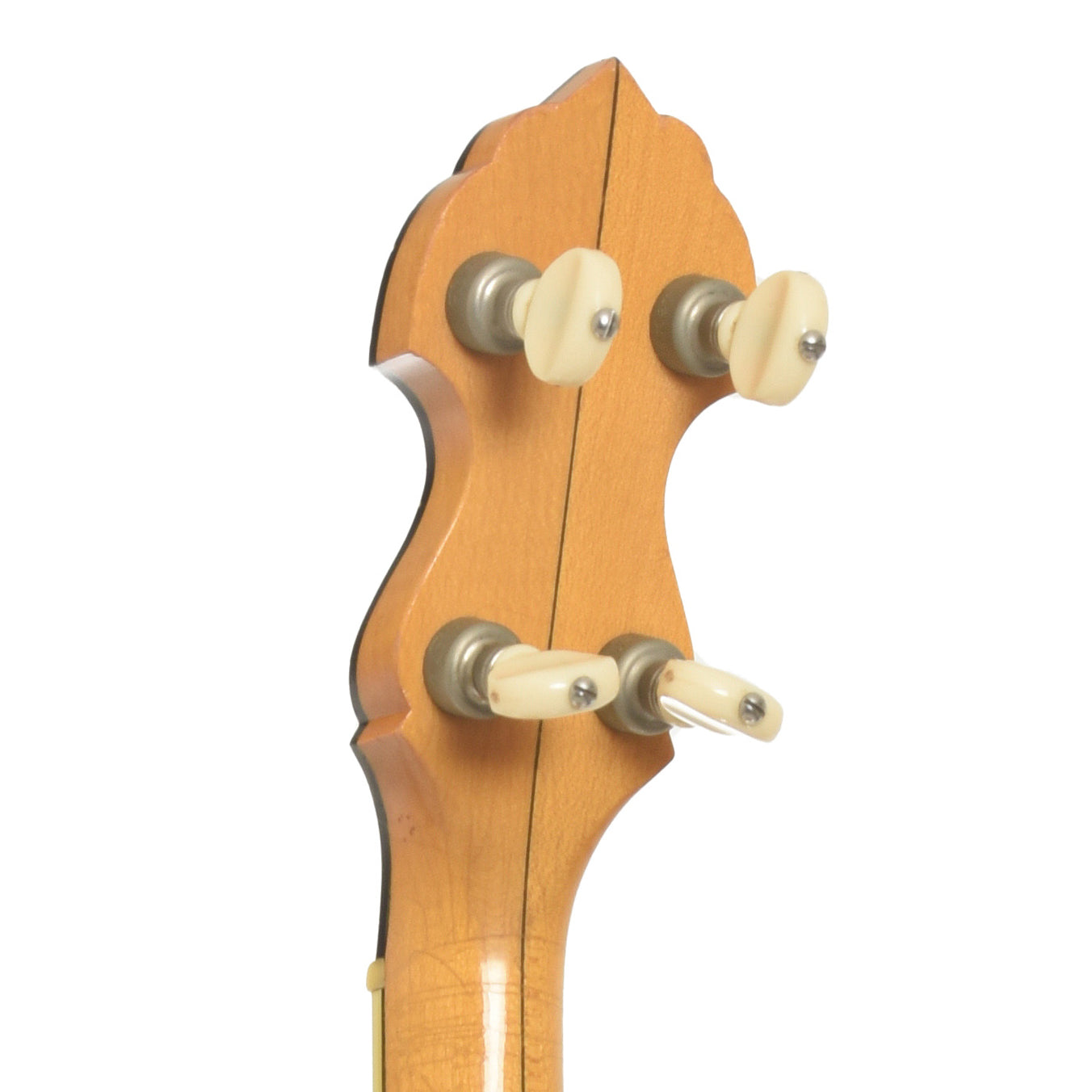 Tuners of Bart Reiter Professional Openback Banjo
