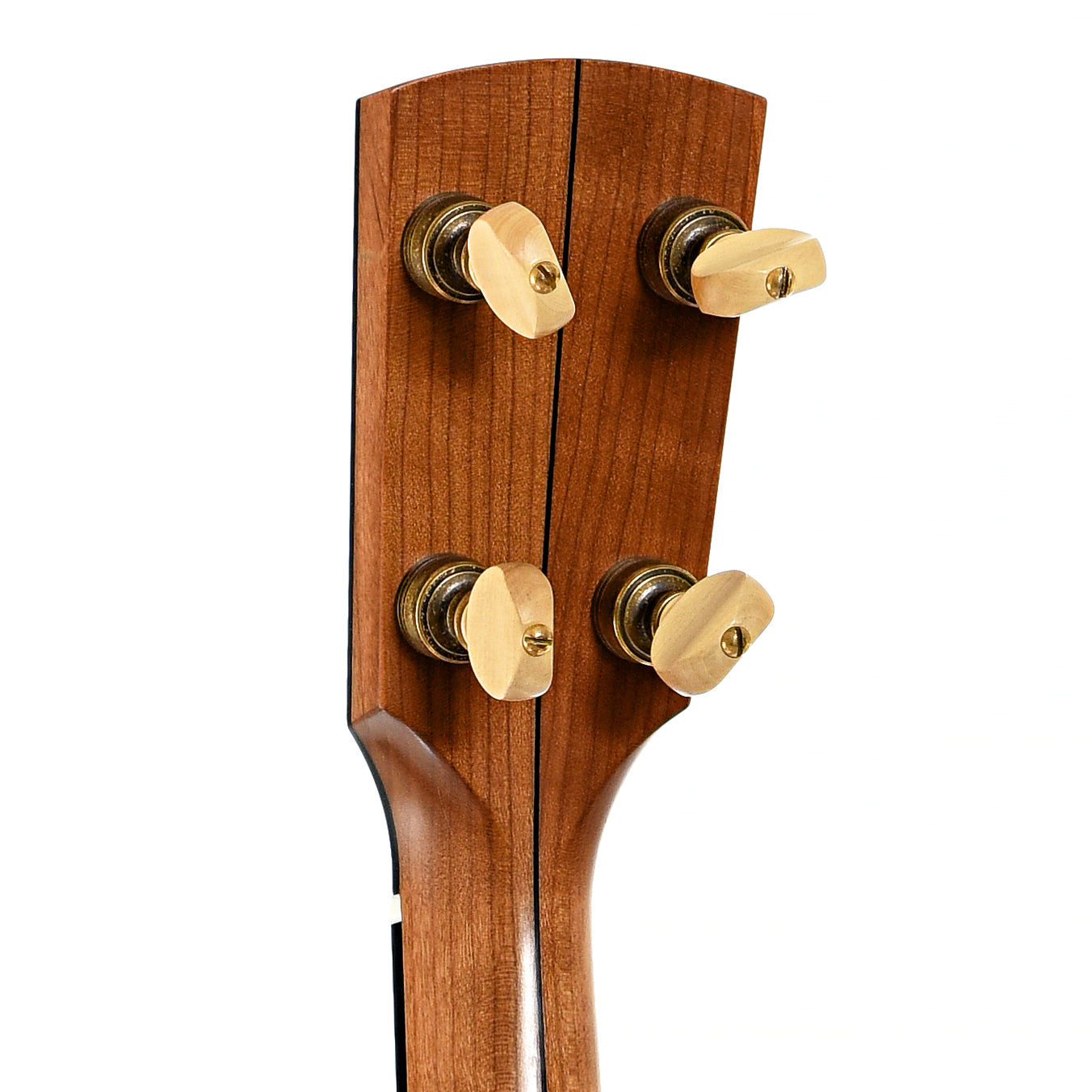 Back headstock of Rickard 12" Little Wonder Openback Banjo 