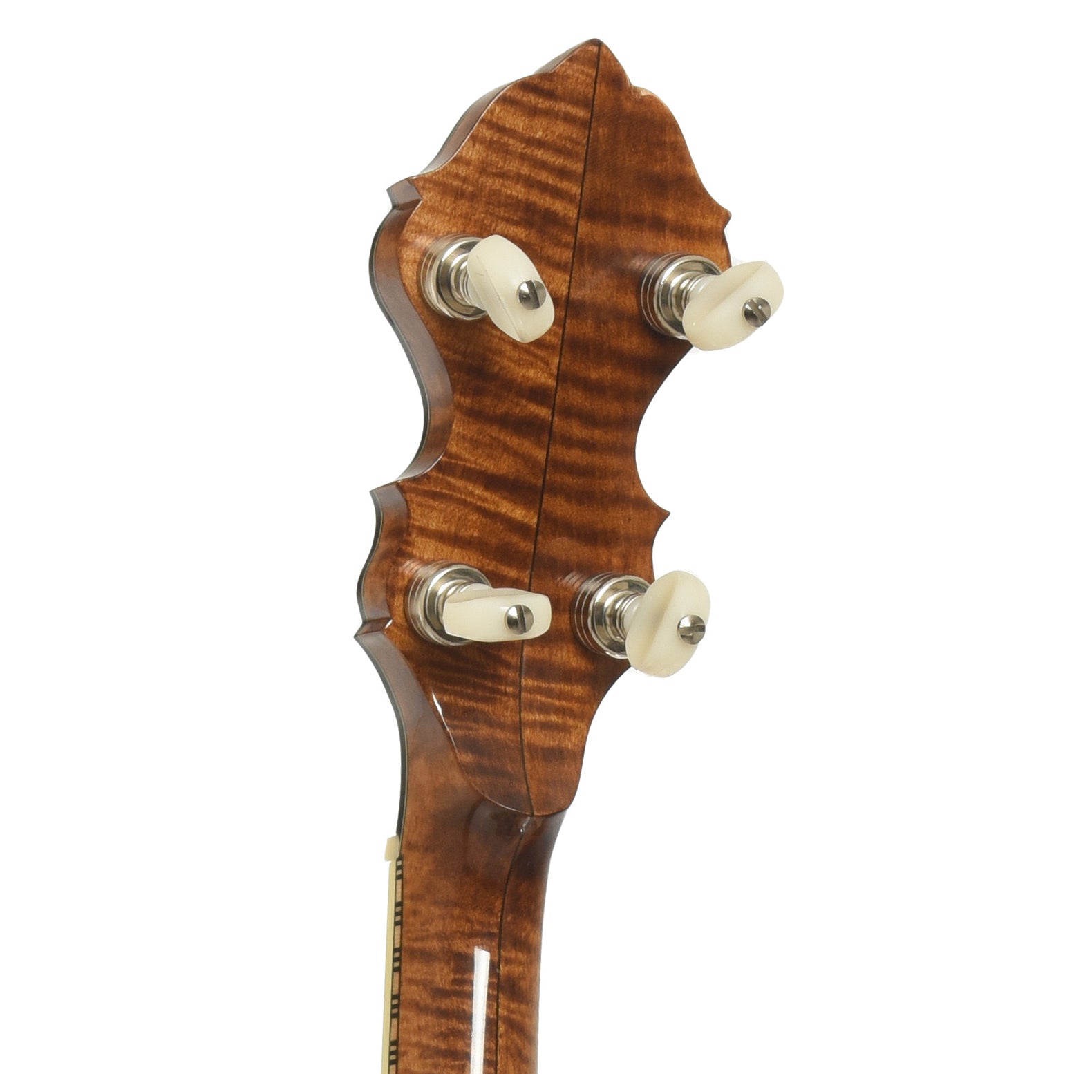 tuners of
Wildwood Balladeer Openback Banjo