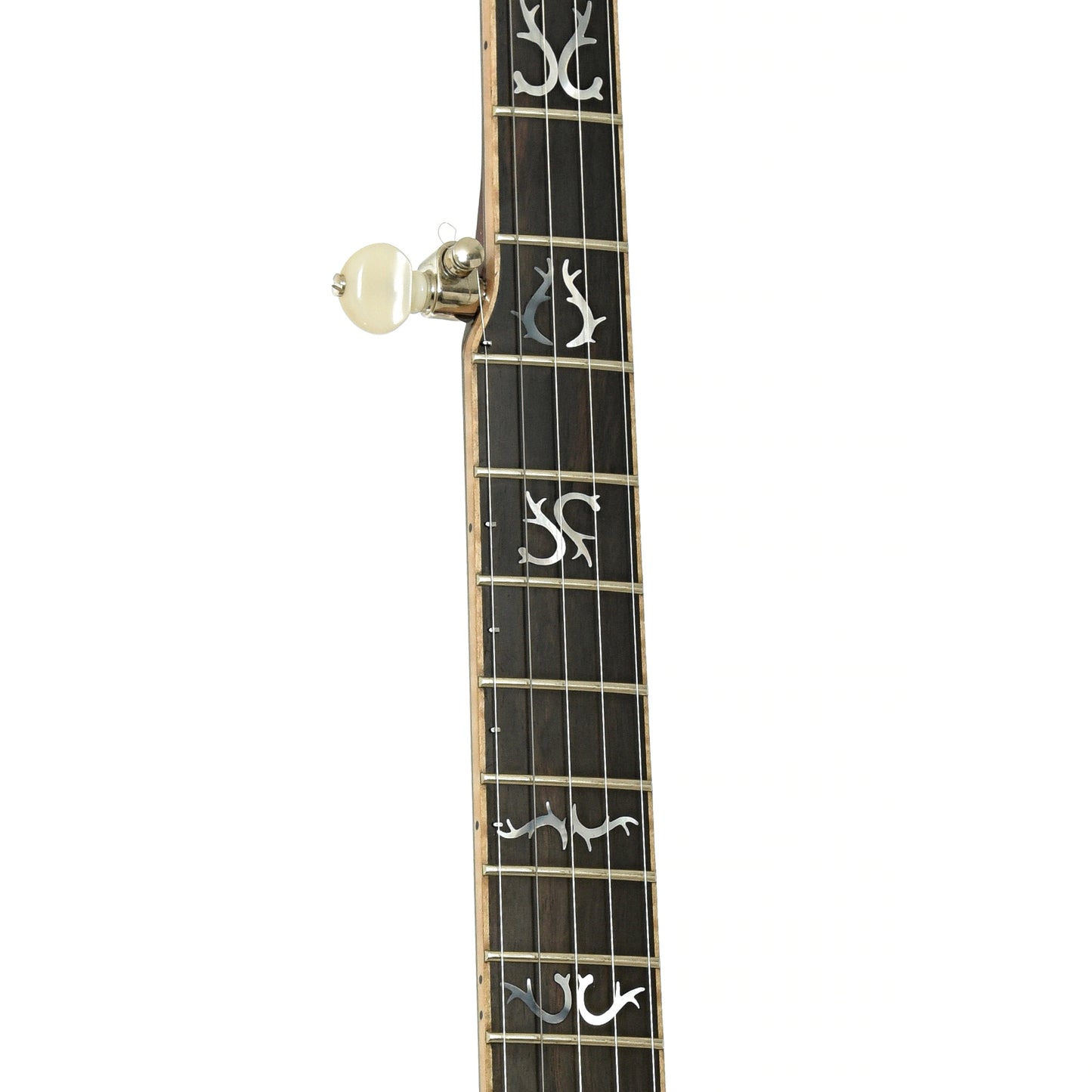 Fretboard of Nechville Orion Resonator Banjo