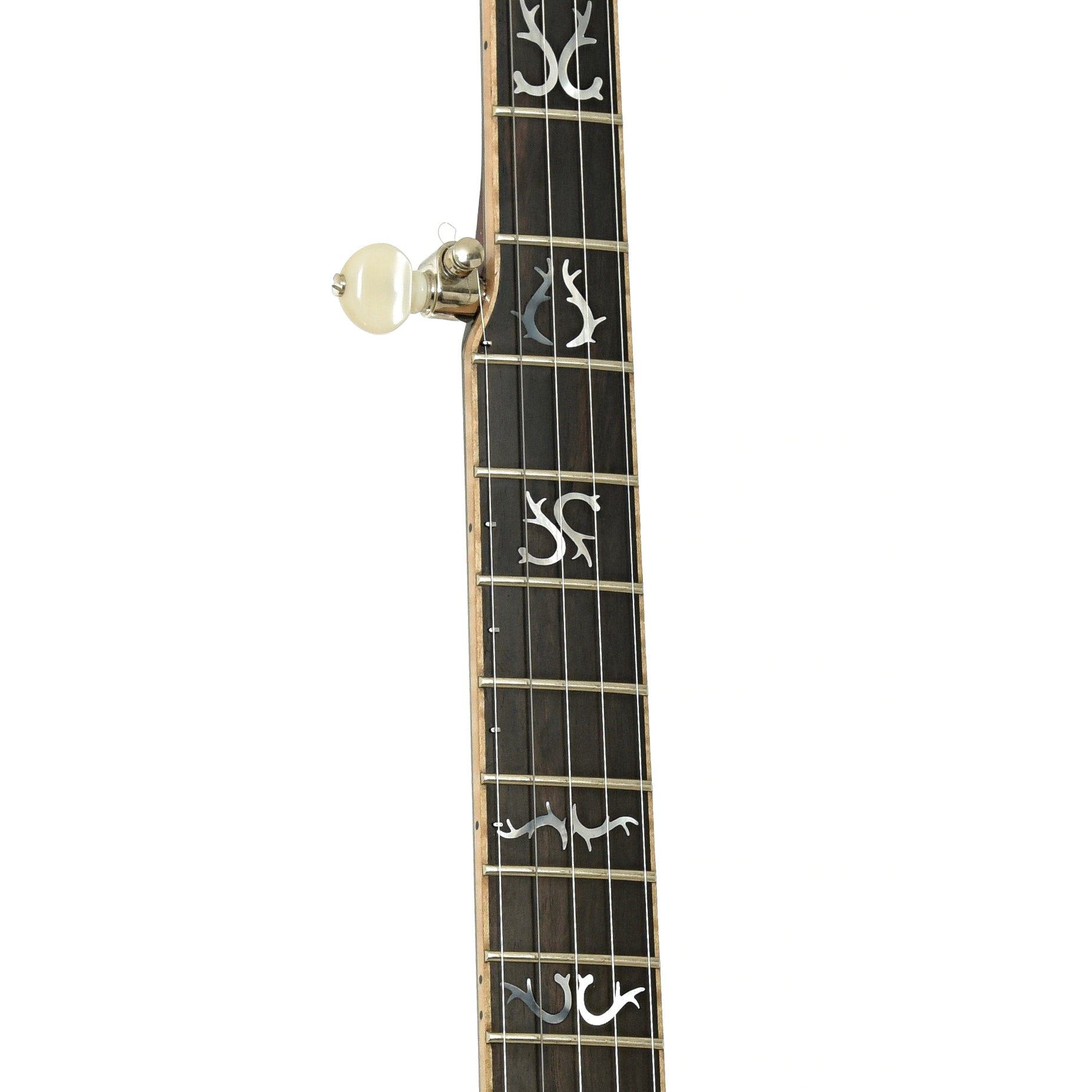 Fretboard of Nechville Orion Resonator Banjo